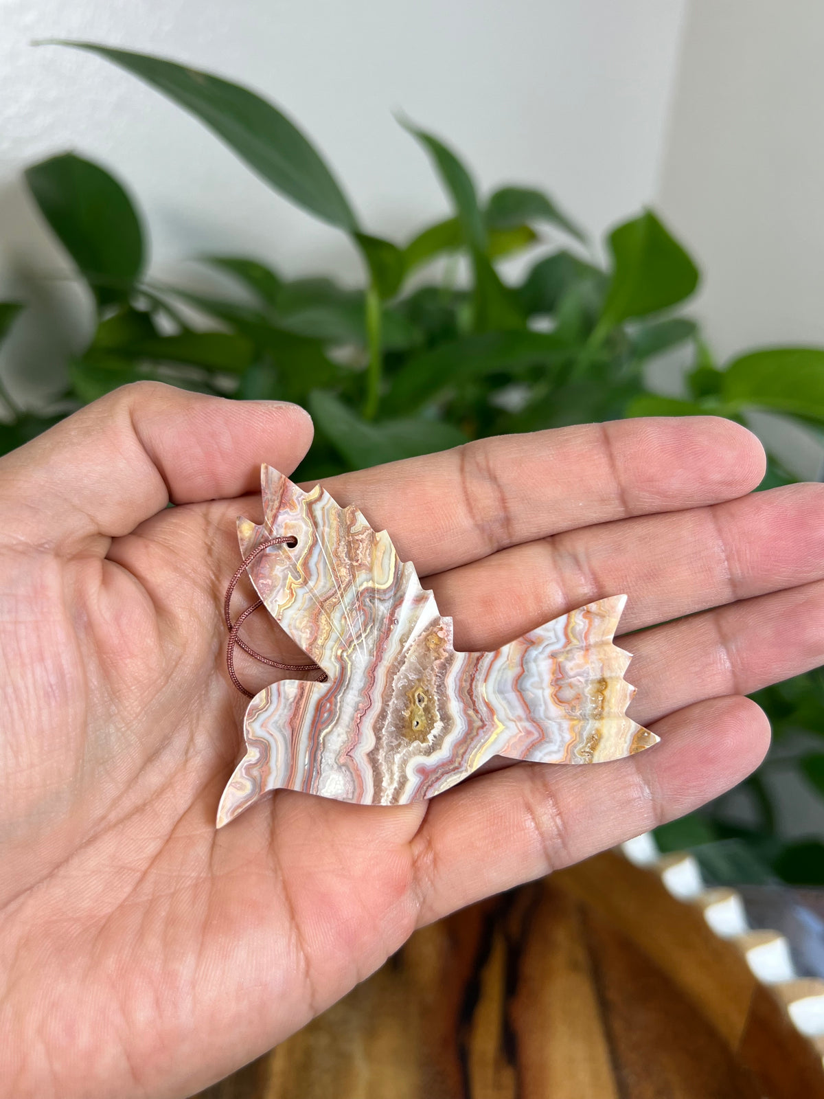 Crazy Lace Agate Hummingbird Ornaments