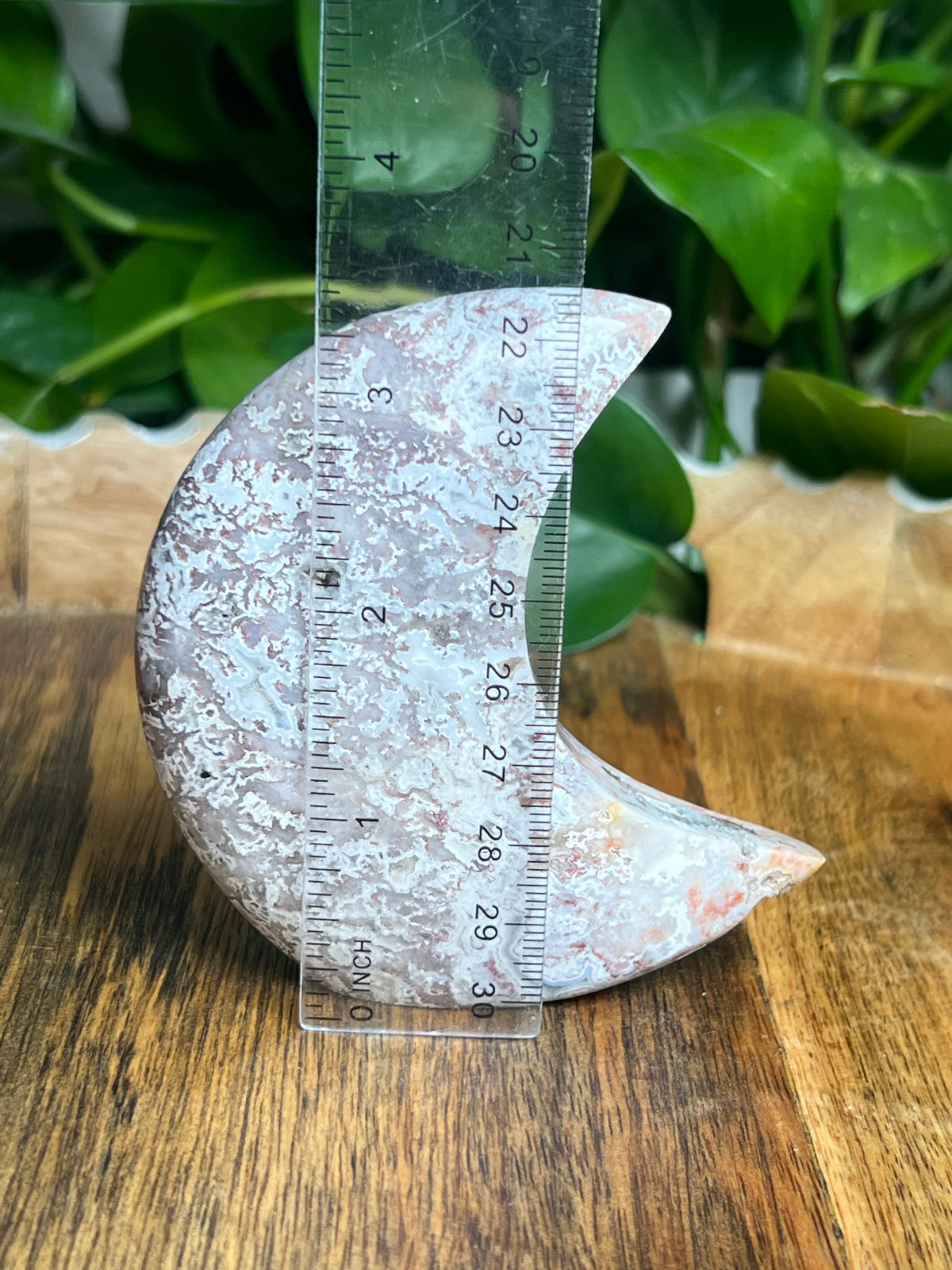 Sumatra Plume Agate Self-Standing Moon: SE