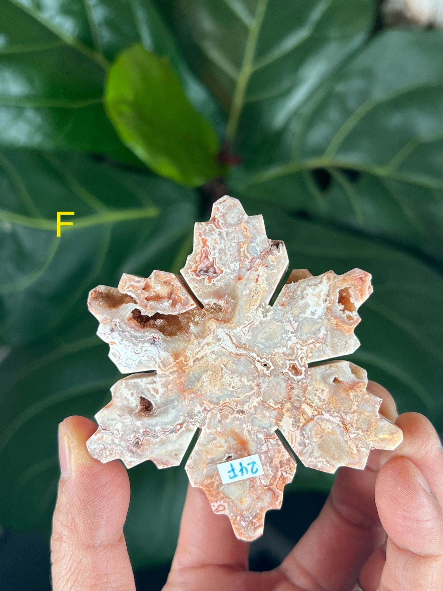 Crazy Lace Agate Snowflake
