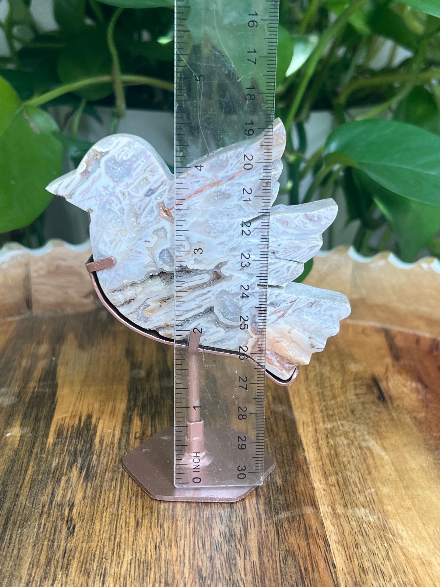 Tube Agate Bird: Ai
