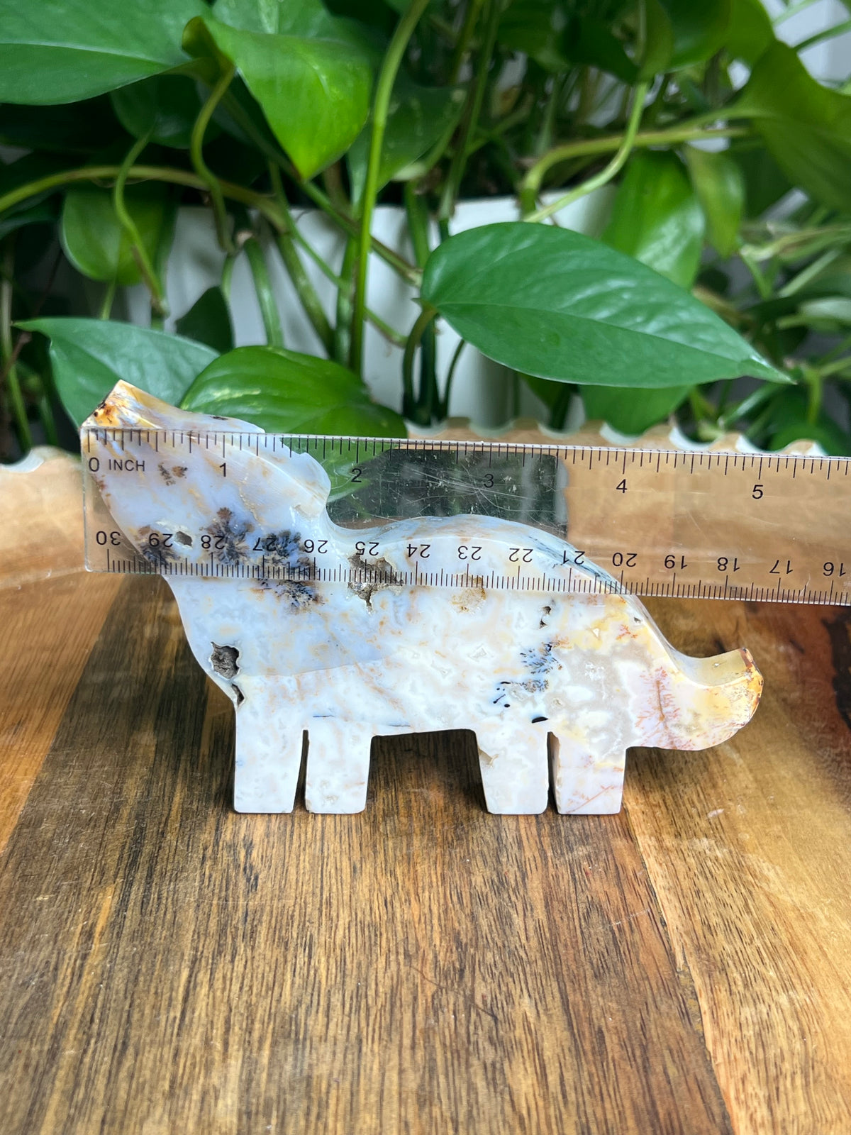 Dendritic Tiger Agate Wolf: B
