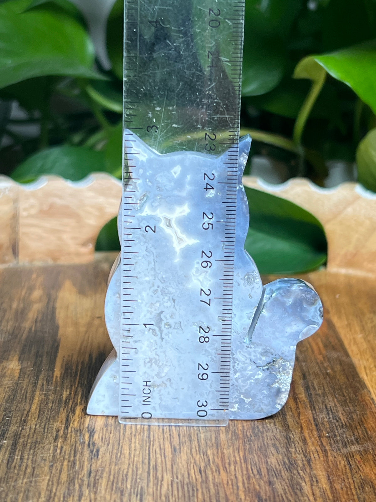 Blue Plume Agate Cat: BQ