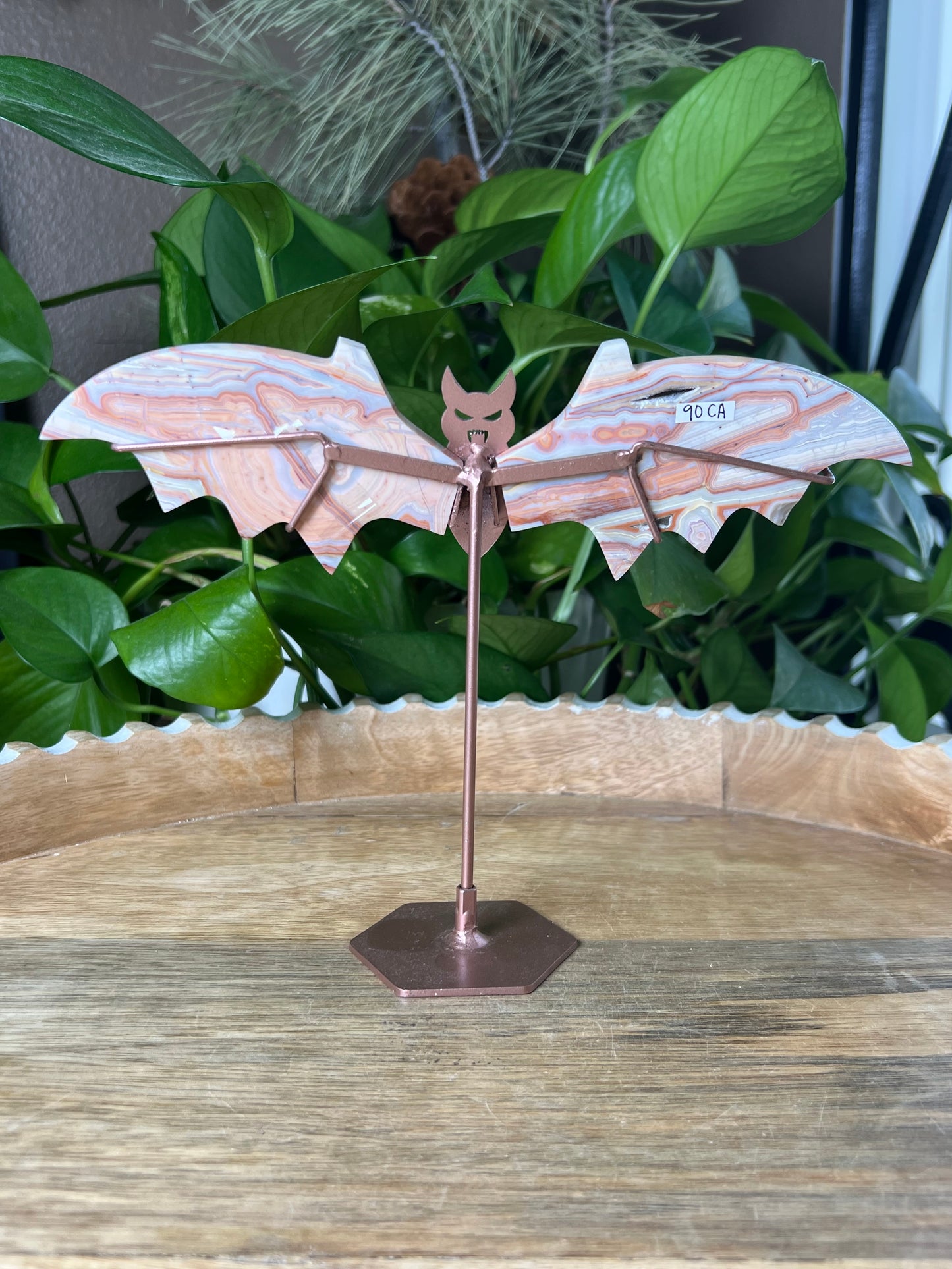 Crazy Lace Agate Bat Wings