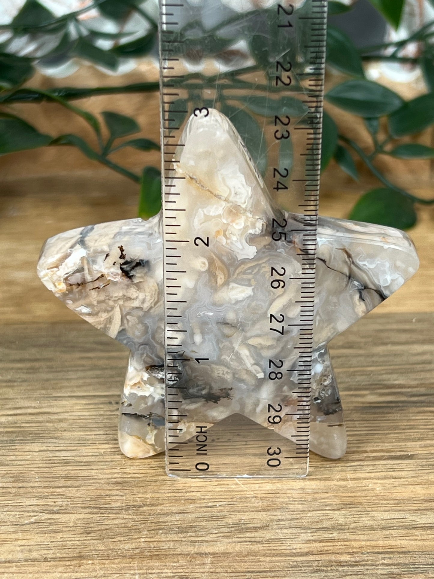 Dendritic Tiger Agate Star