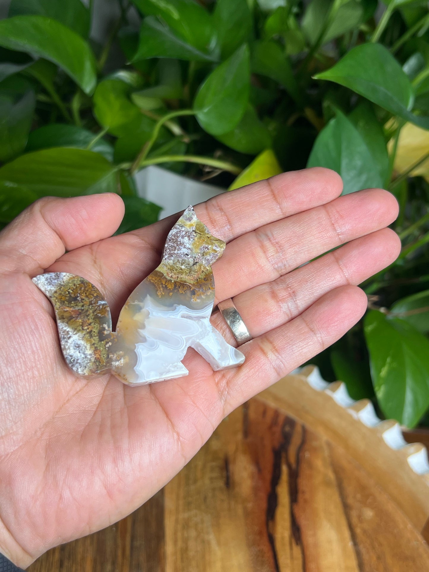 Scenic Moss Agate Fox PX