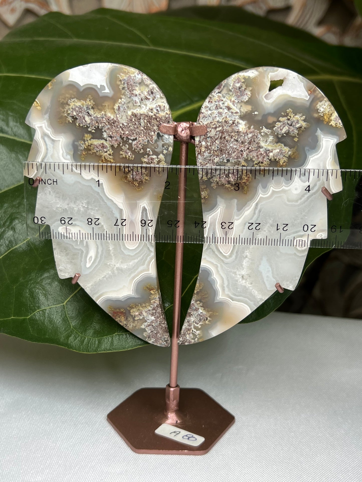 Scenic Moss Agate Wings