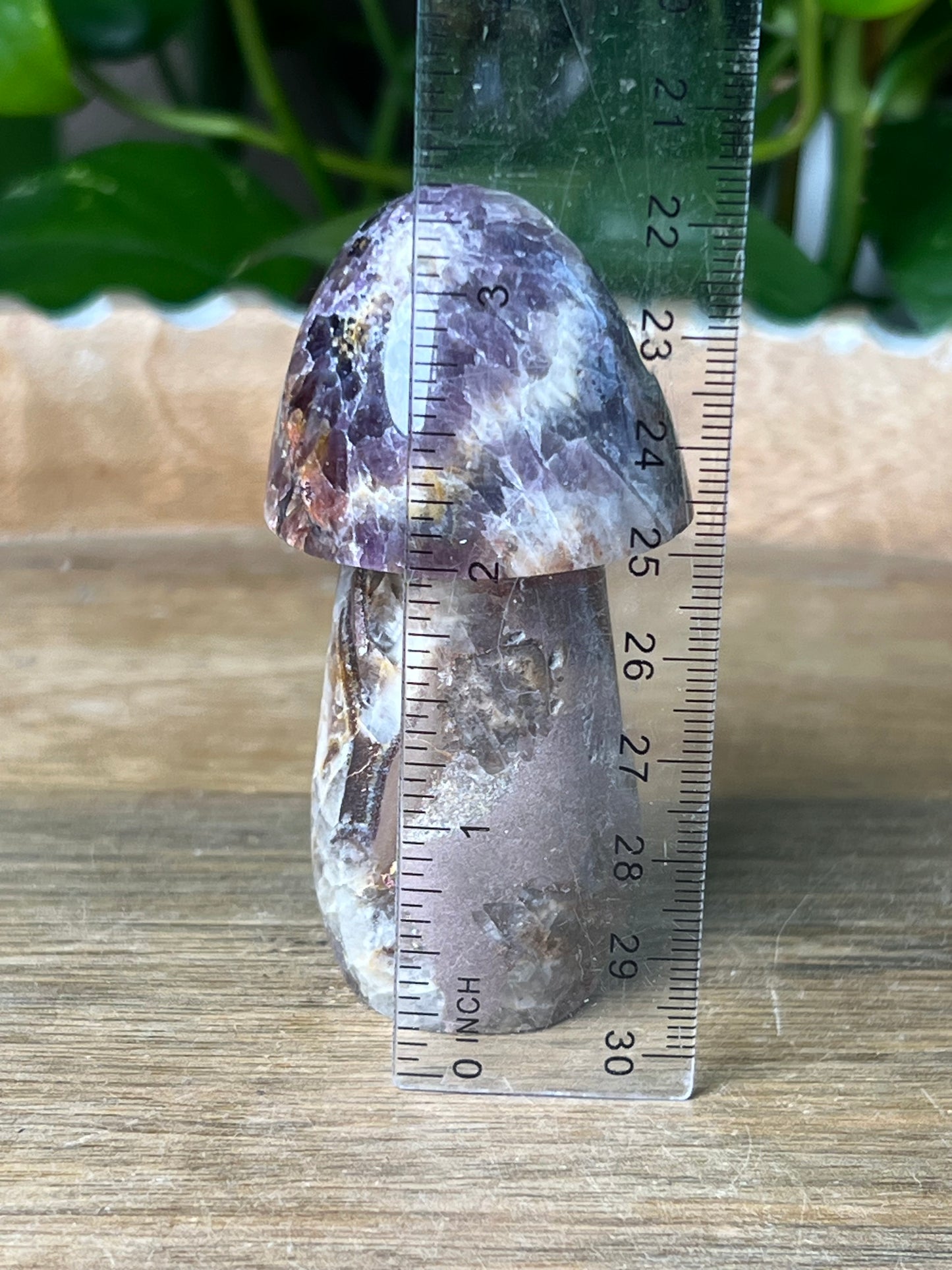 Indonesia Amethyst Mushroom: TE
