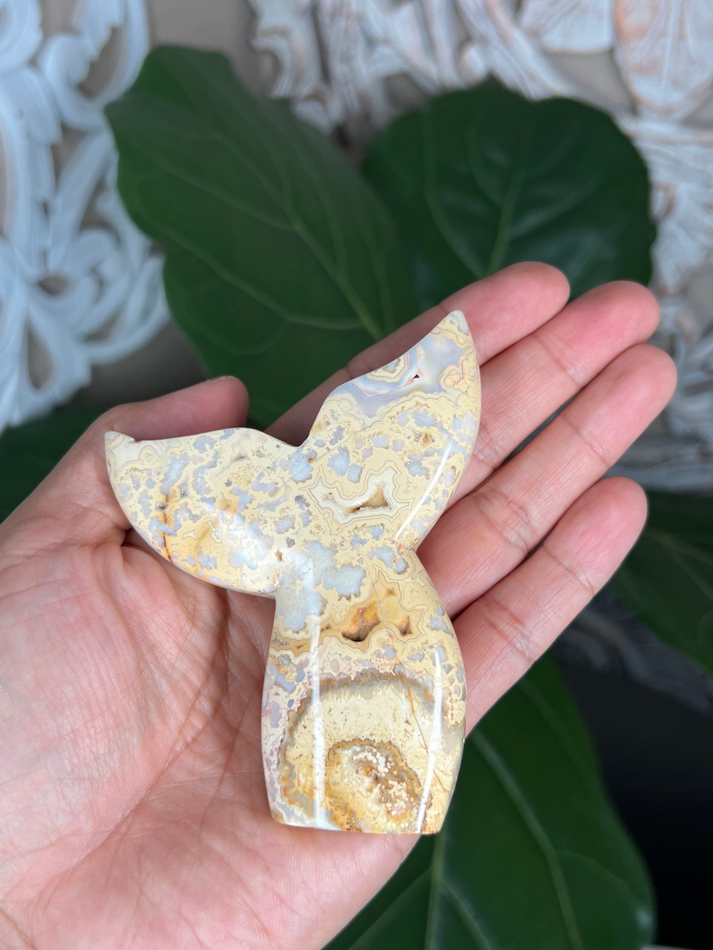 Crazy Lace Agate Tail