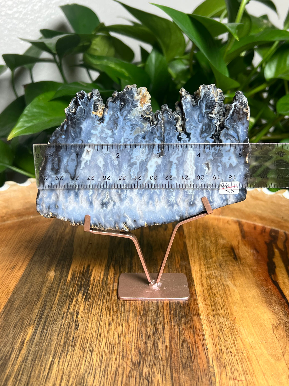 Blue Plume Agate Slab: RS
