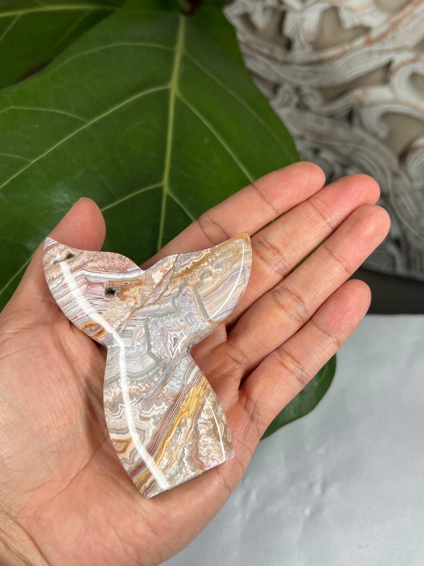 Crazy Lace Agate Tail