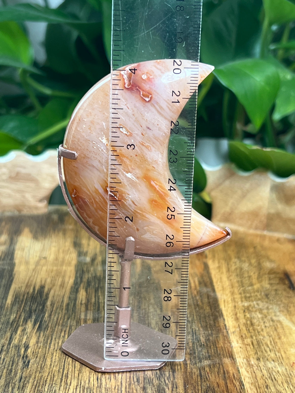 Carnelian Mini Puffy Moon: TA