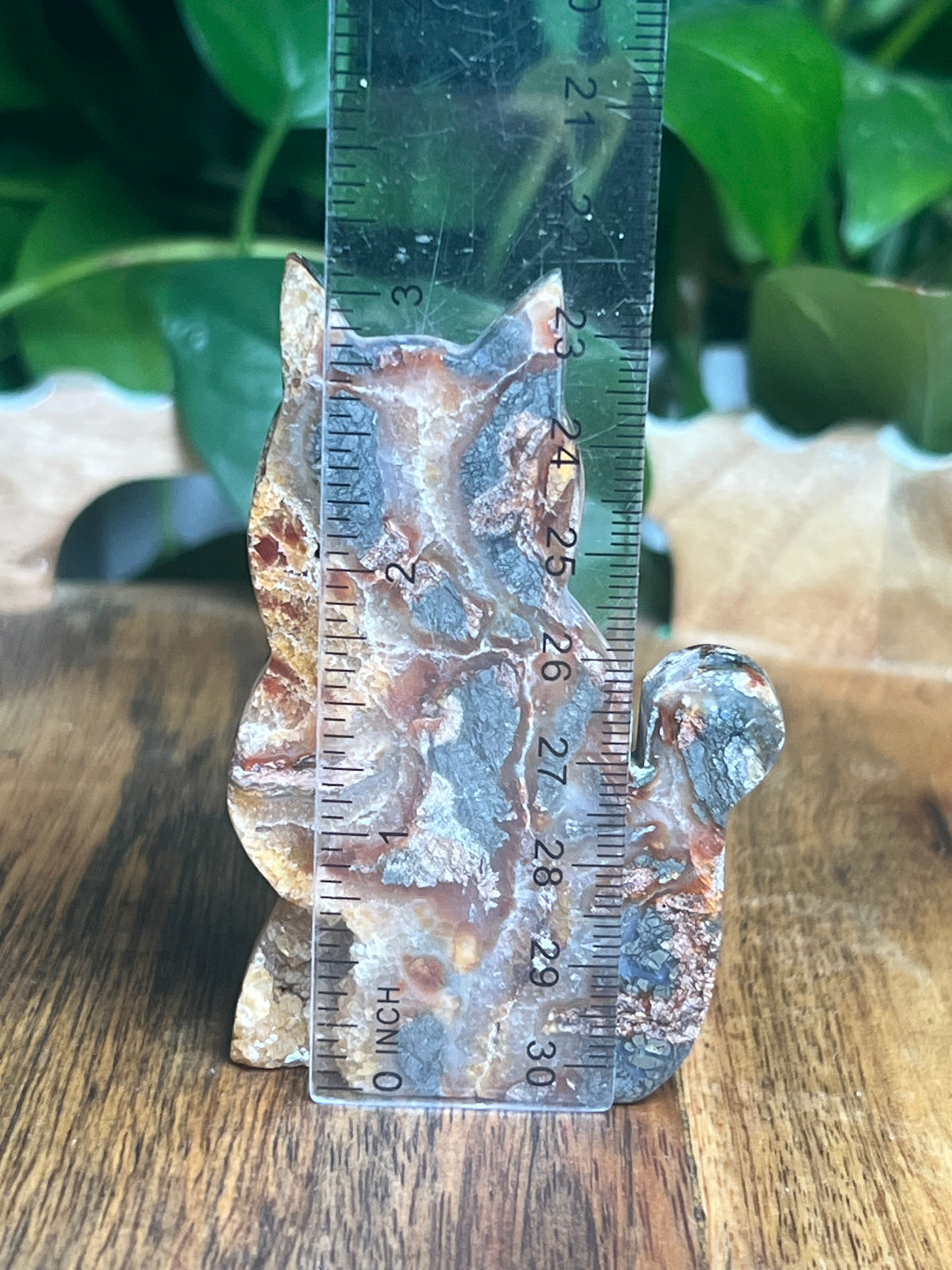 Marcasite Cat: DC