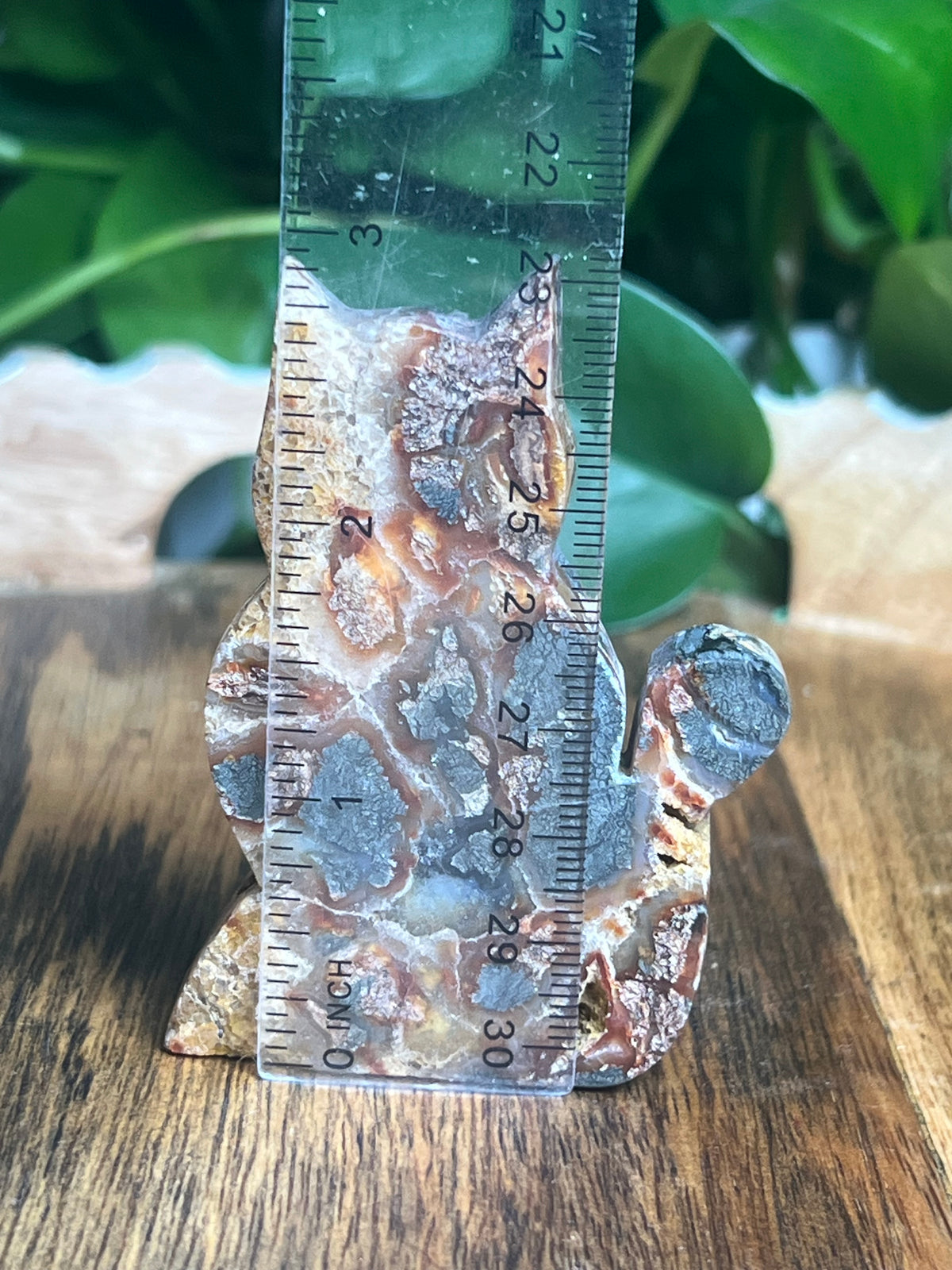 Marcasite Cat: DD