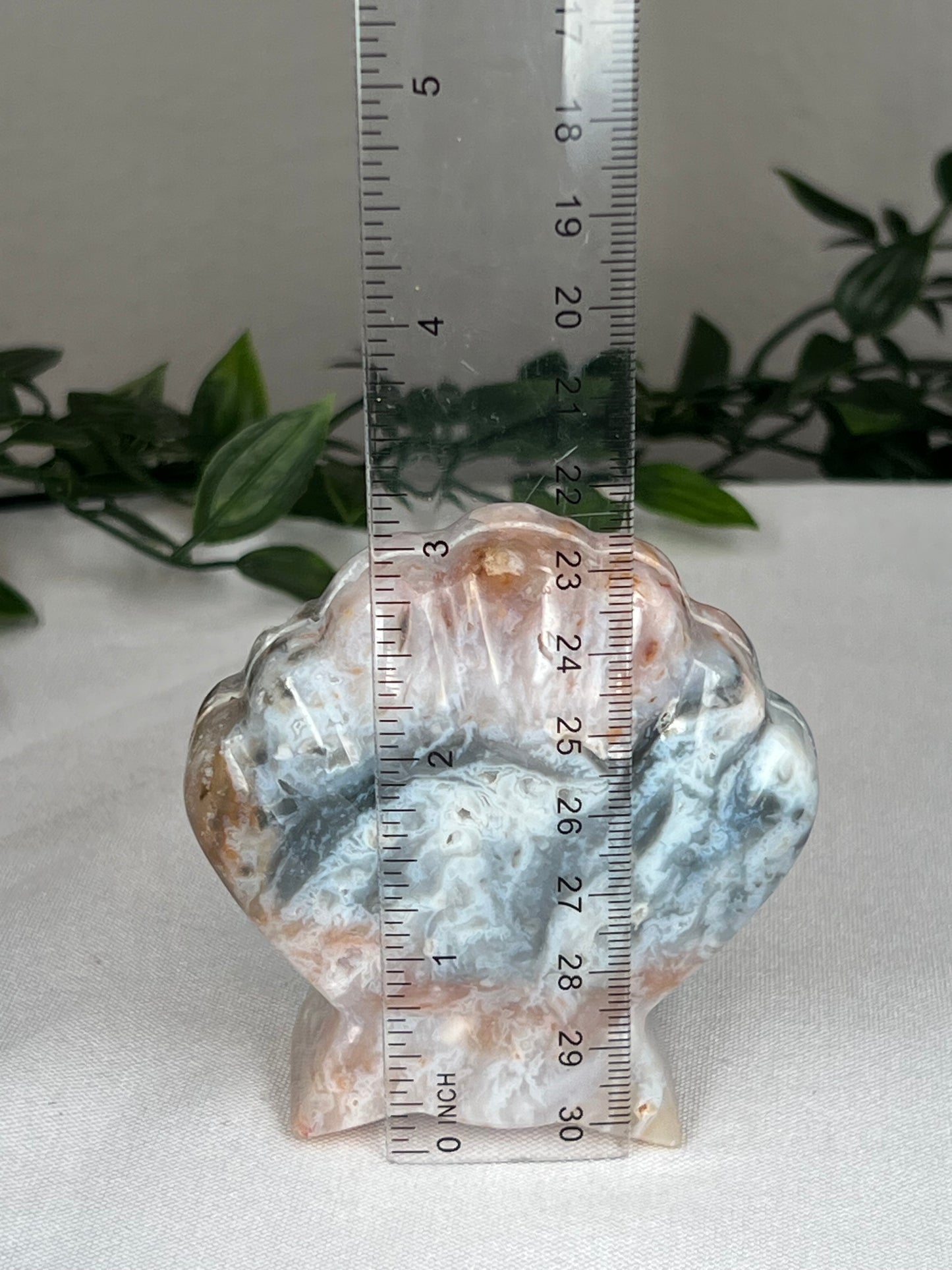 Rainbow Plume Agate Shell