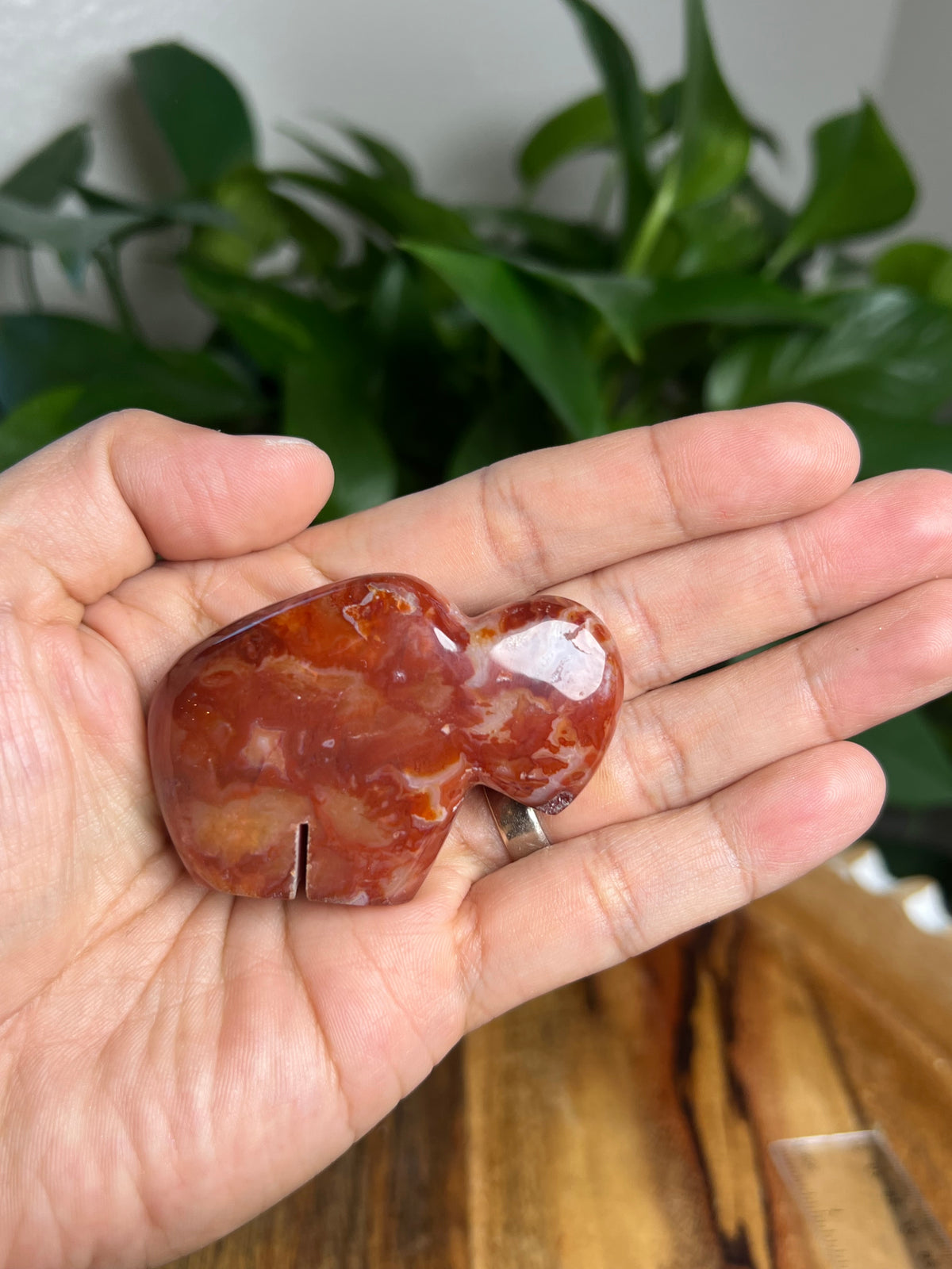Carnelian Mini Buffalo: Z