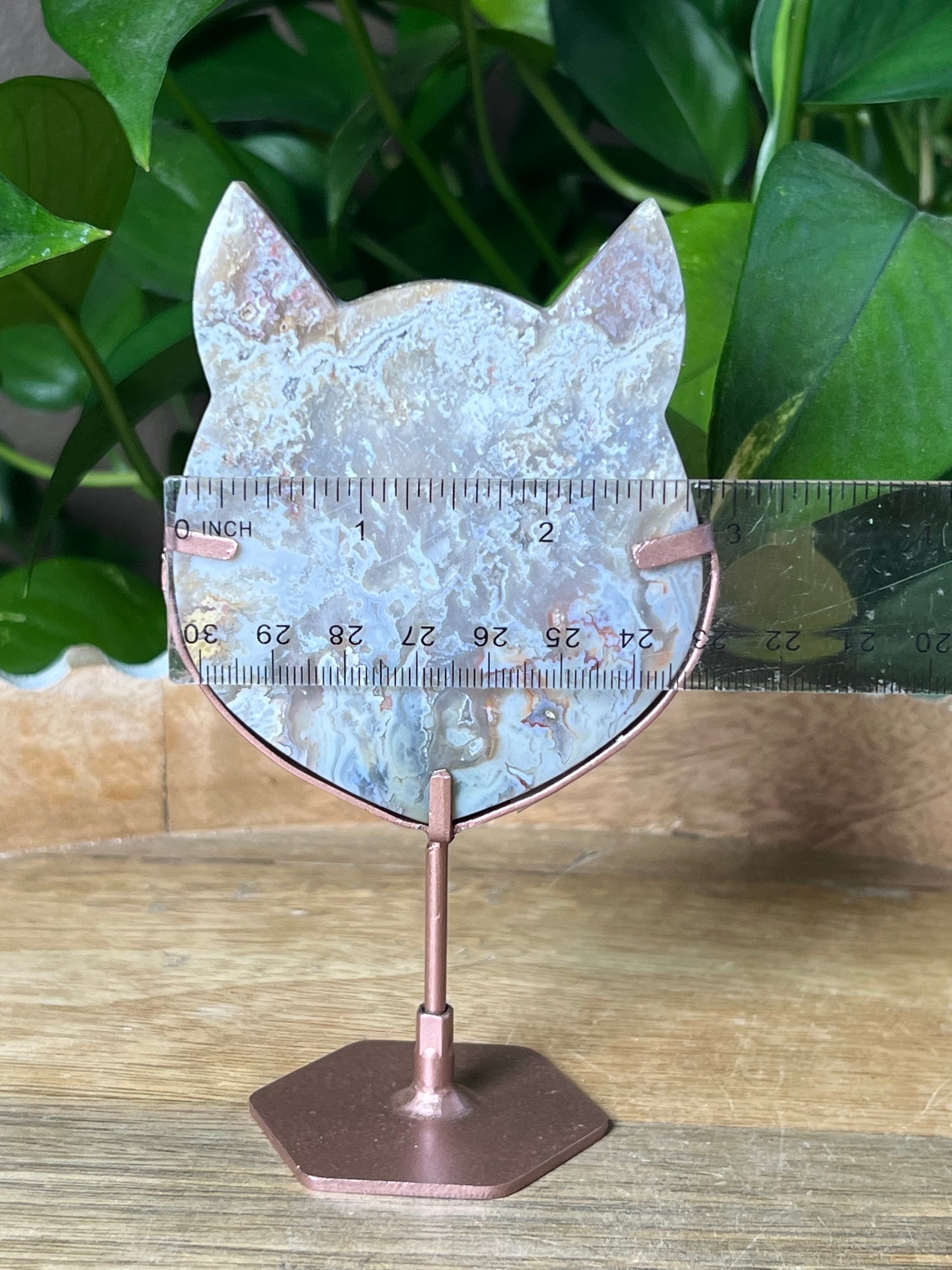 Sumatra Plume Agate Cat Head