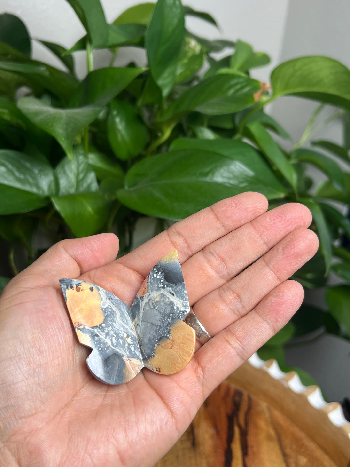 Maligano 3D Butterfly: AP