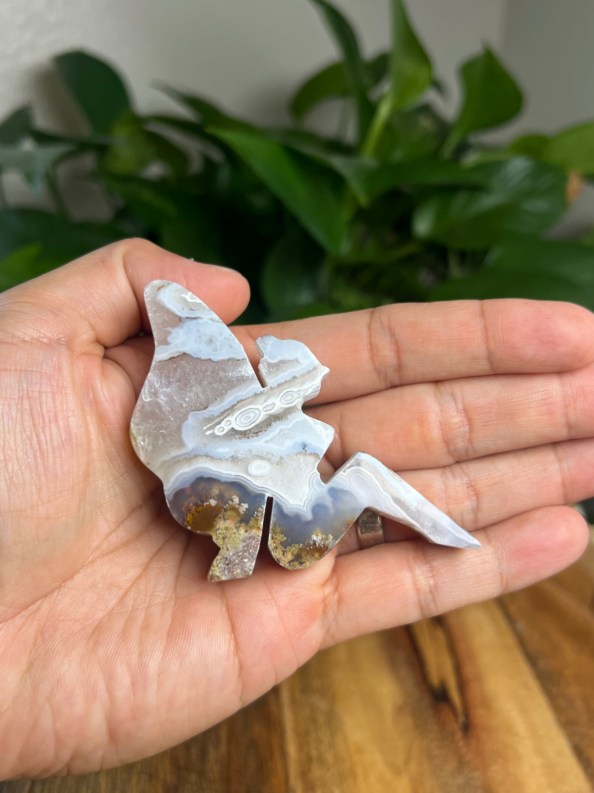 Scenic Moss Agate Pixie Fairy: N
