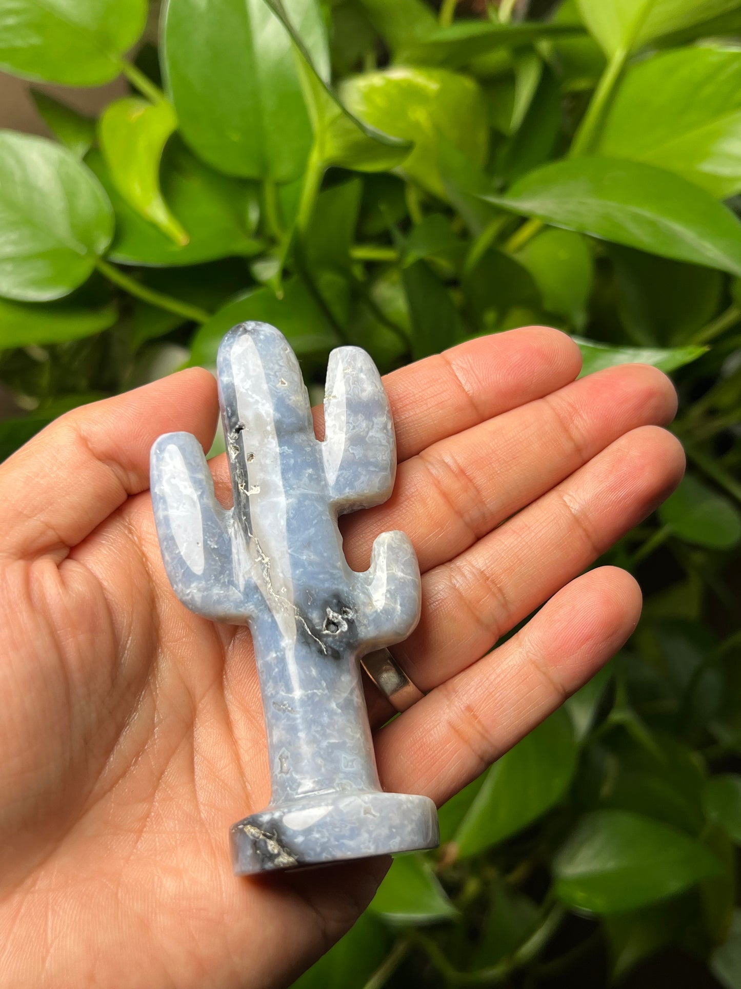 Blue Plume Agate Cactus