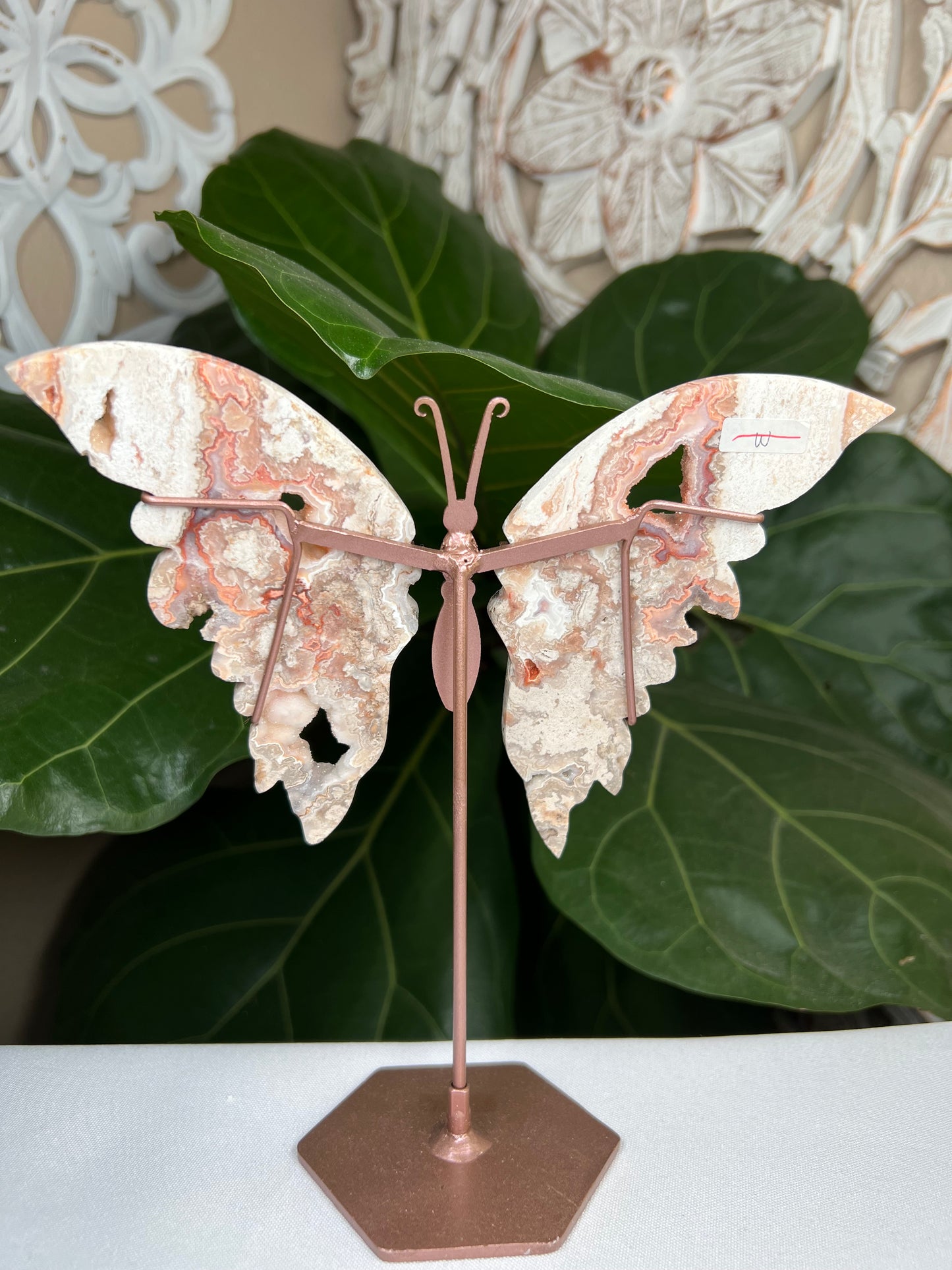 Crazy Lace Agate Wings