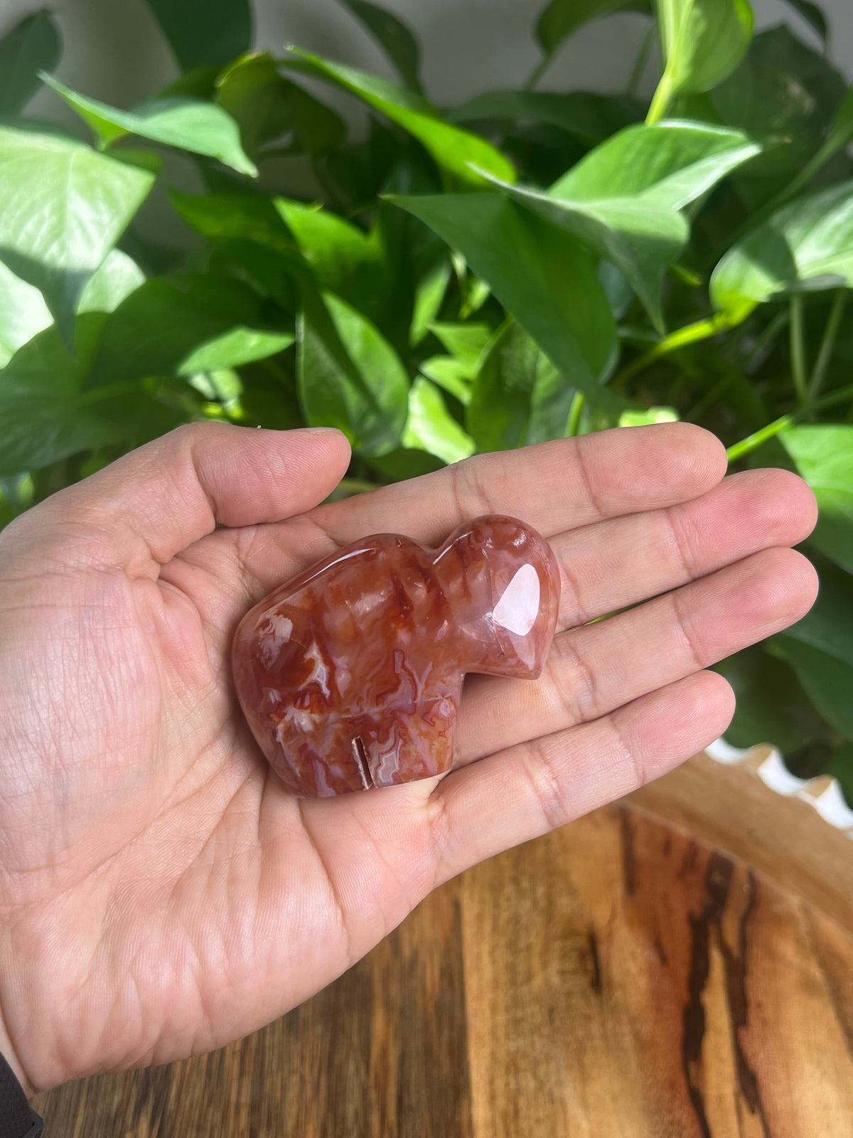 Carnelian Mini Buffalo: BC