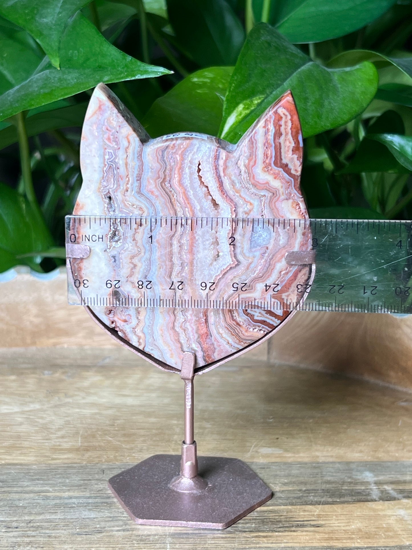 Crazy Lace Agate Cat Head