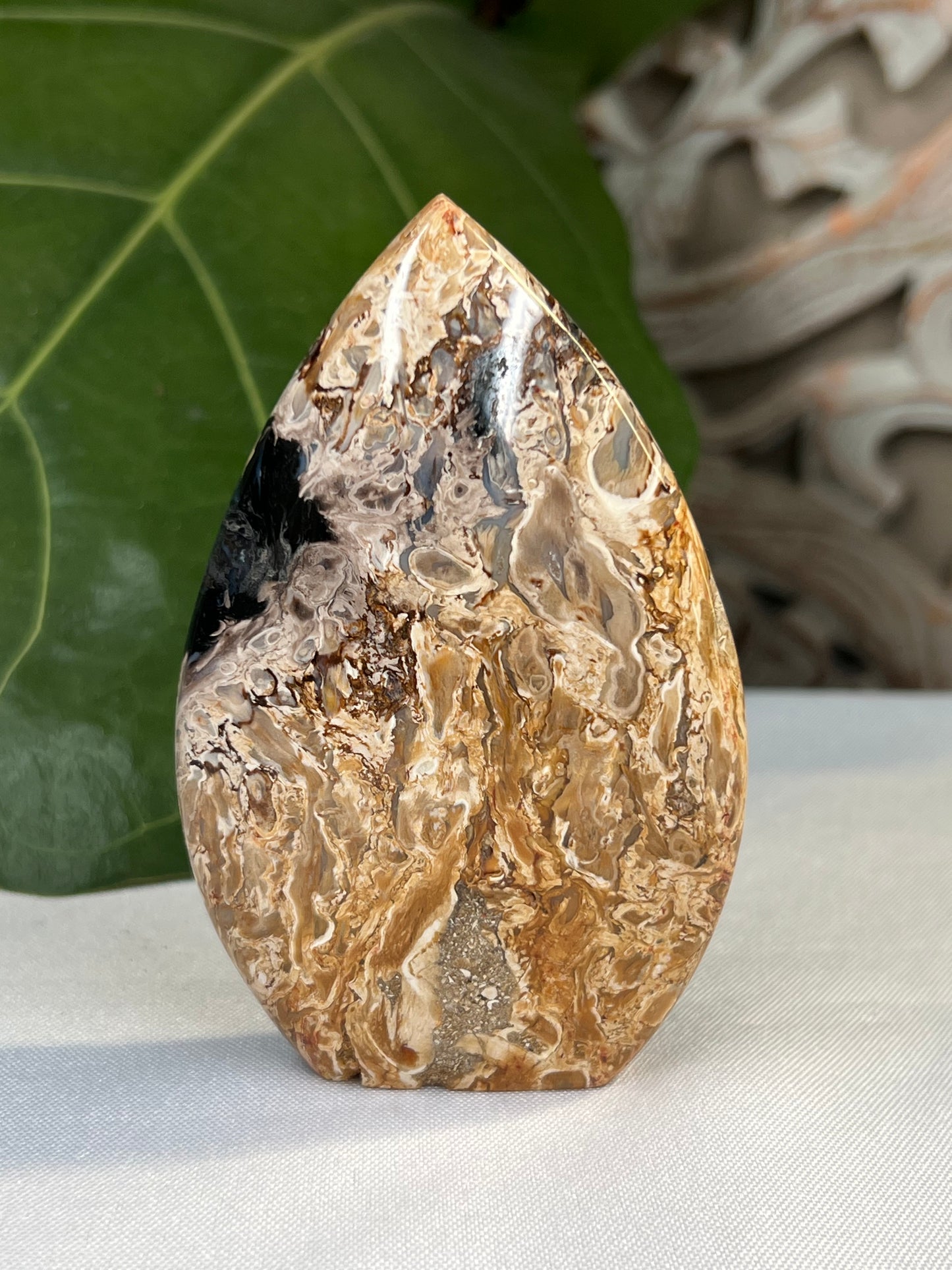 Palm Root Flame