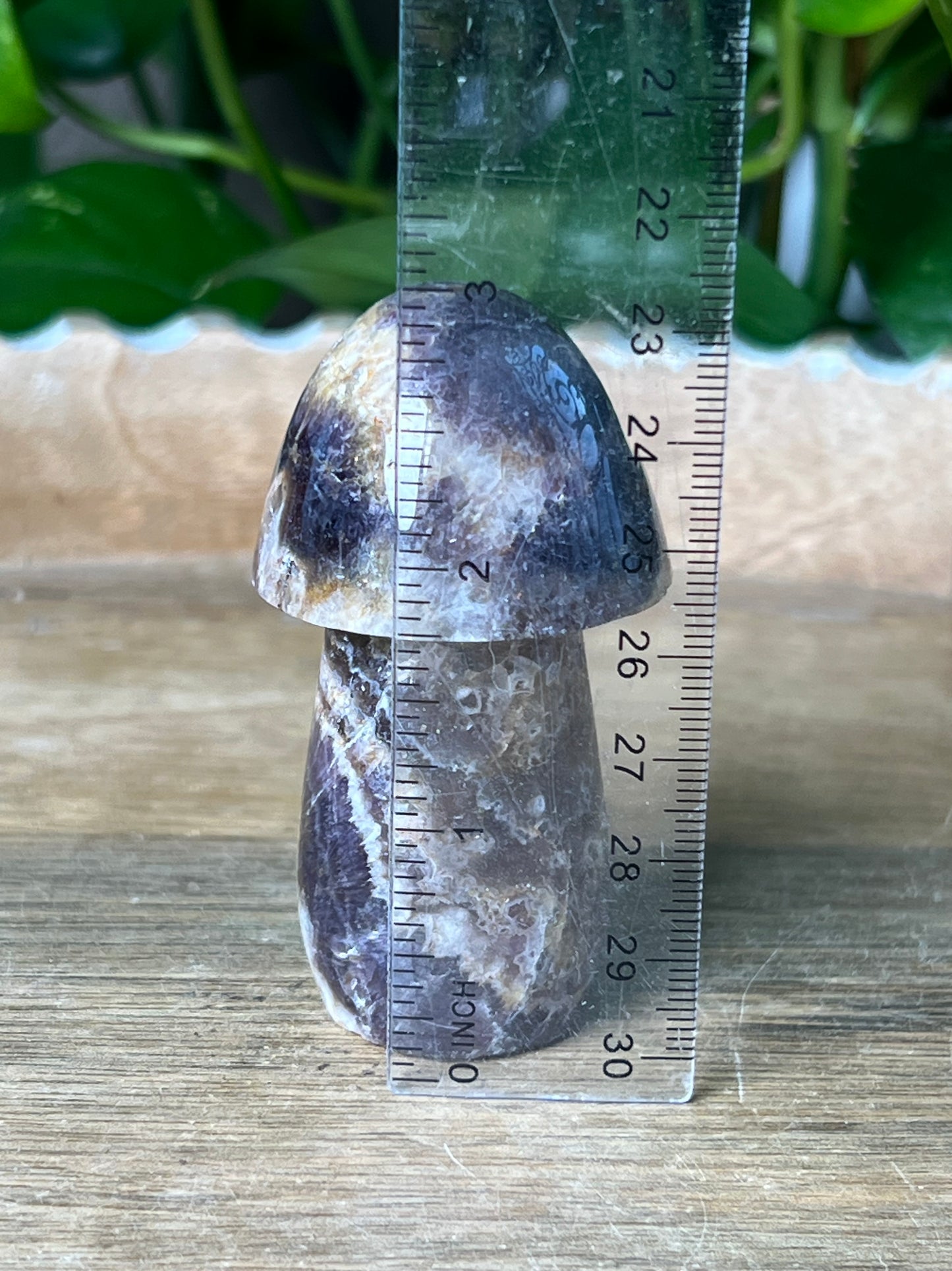 Indonesian Amethyst Mushroom: N