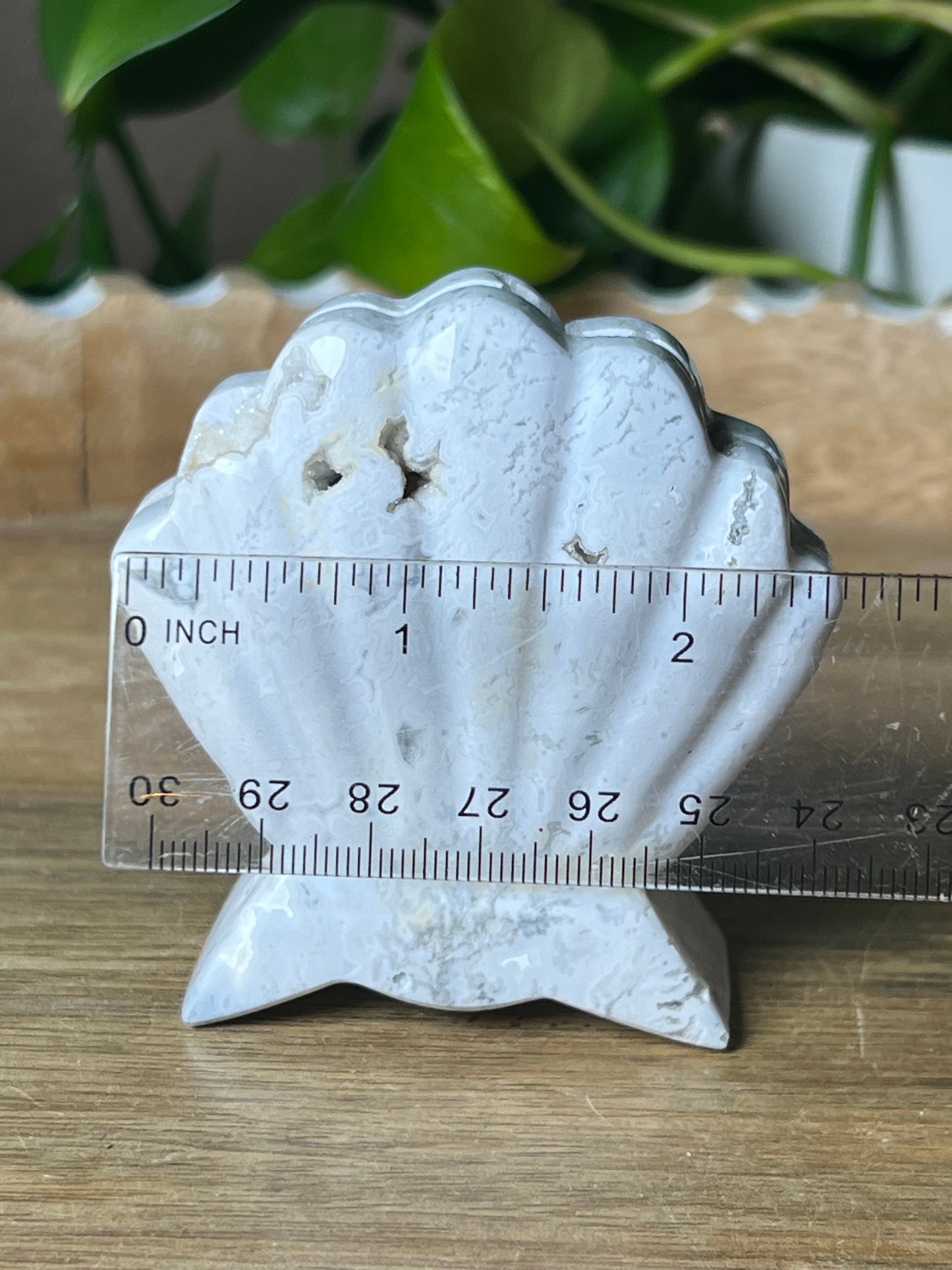 White Plume Agate Shell