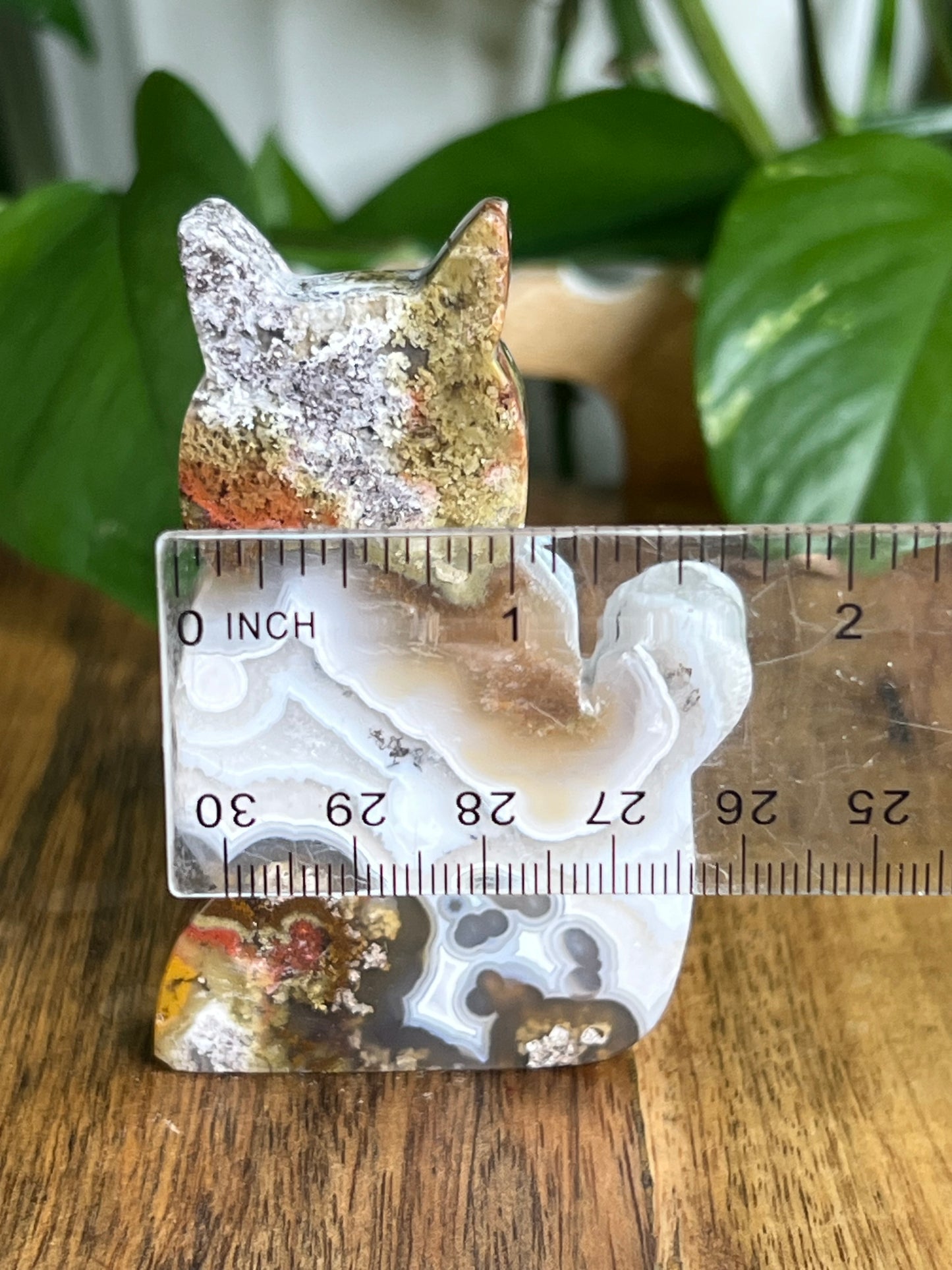 Scenic Moss Agate Cat HA