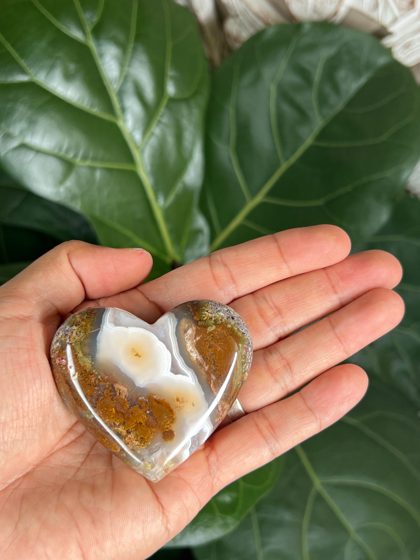 Scenic Moss Agate Heart
