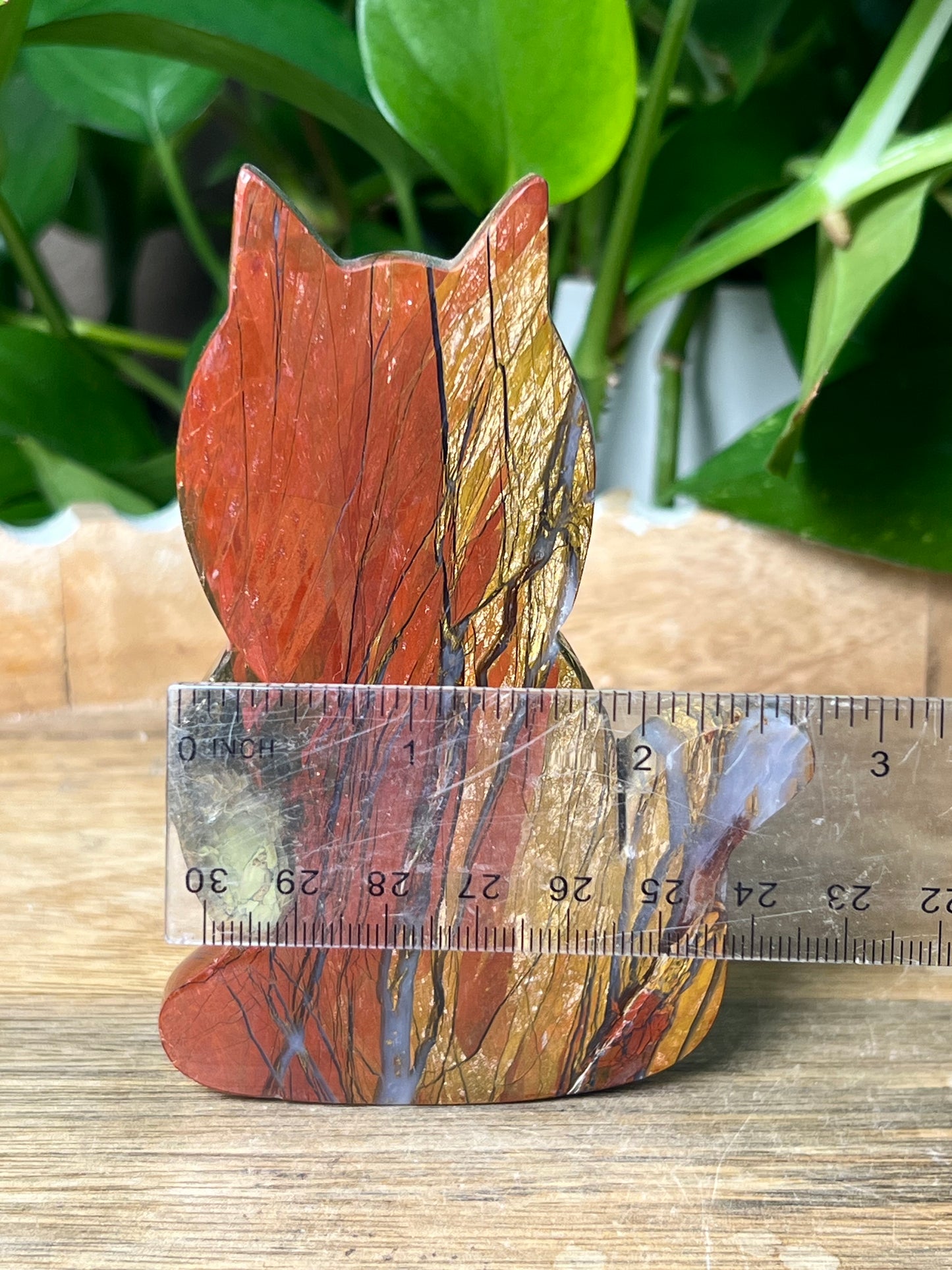 Mossy Red Jasper Cat