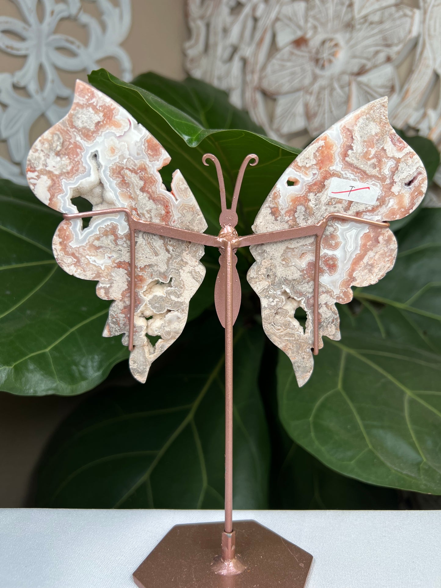 Crazy Lace Agate Wings