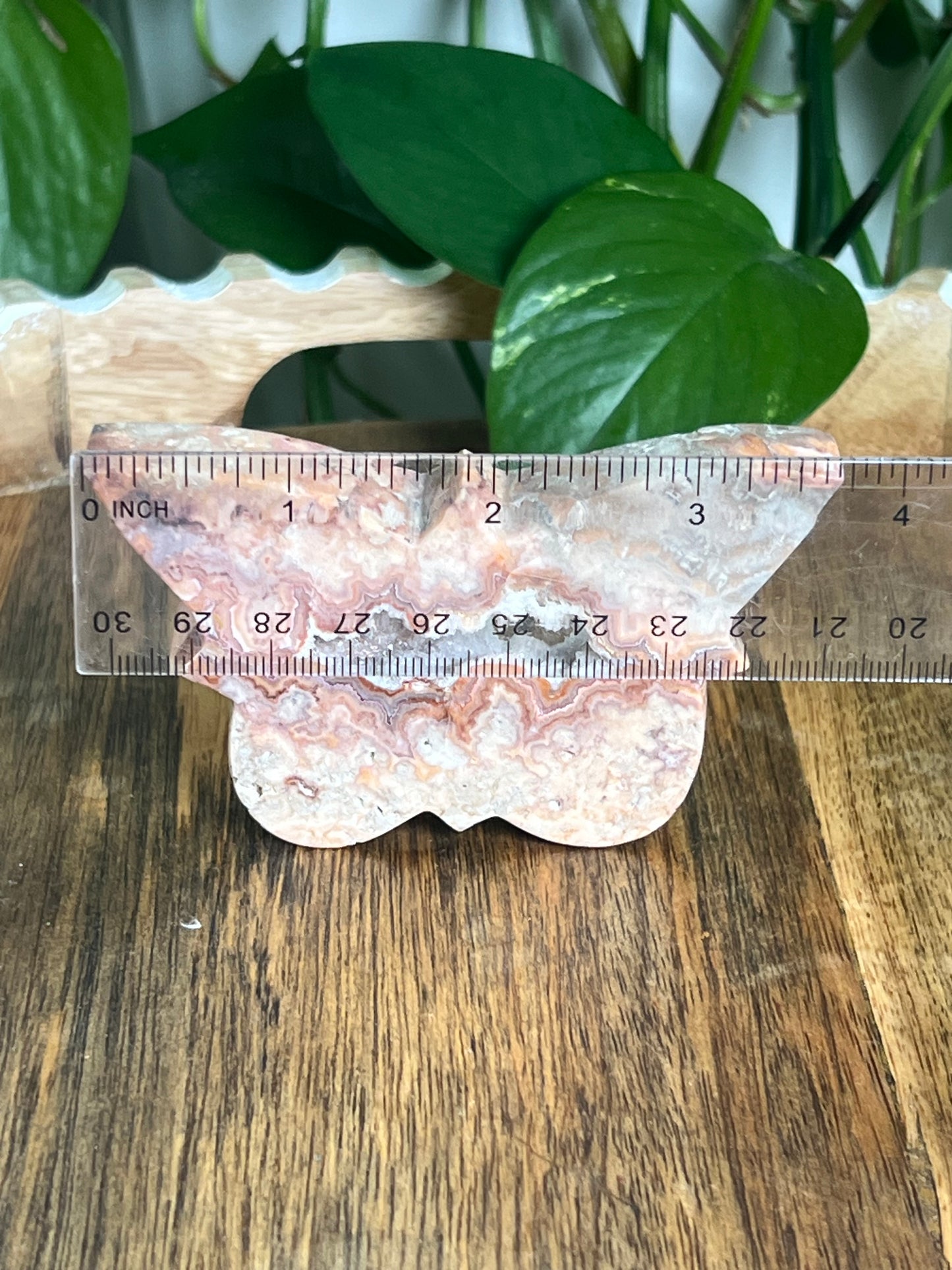Crazy Lace Agate Butterfly: A