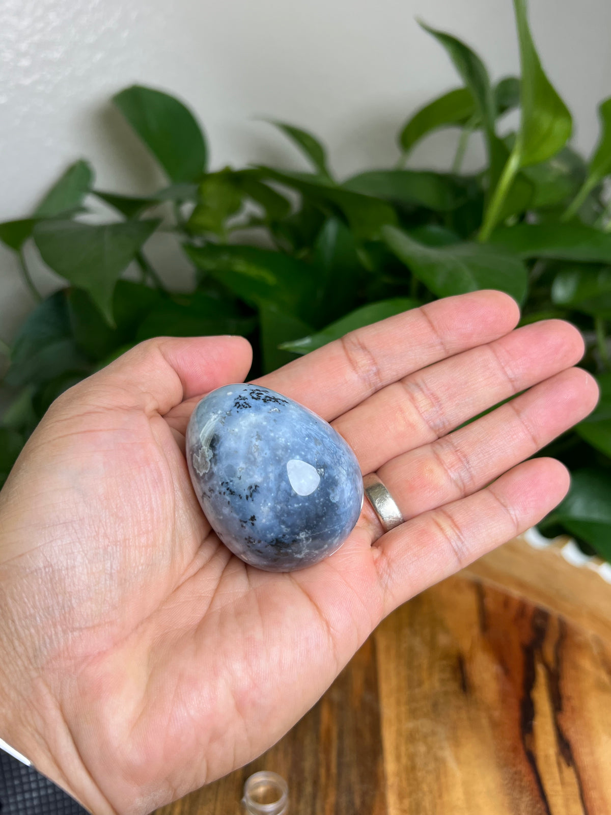 Blue Plume Agate Egg: BB
