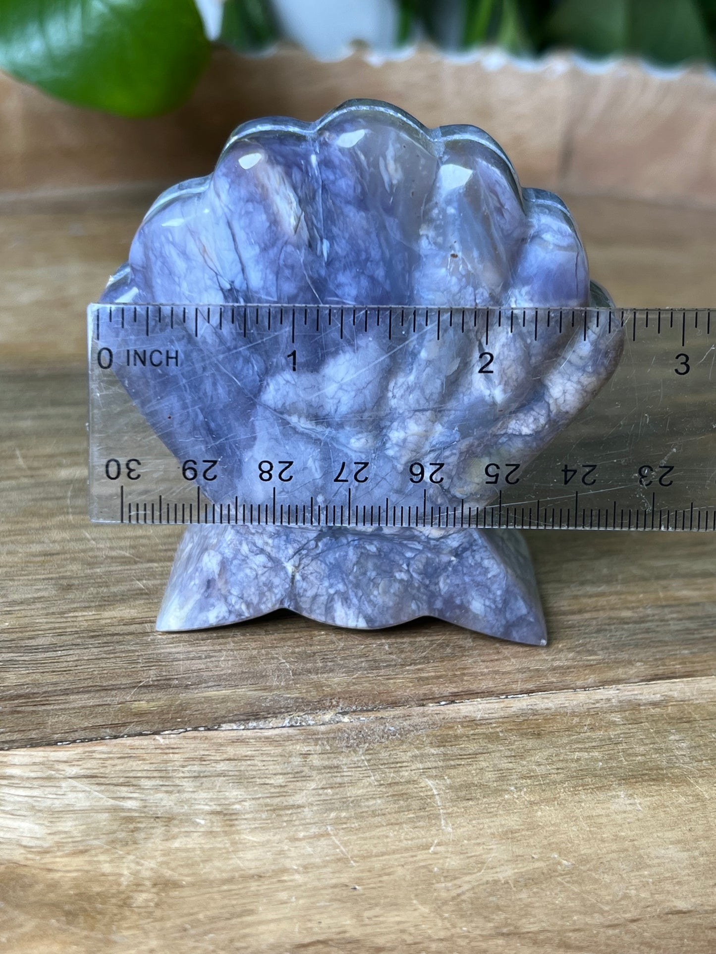 Purple Chalcedony Shell