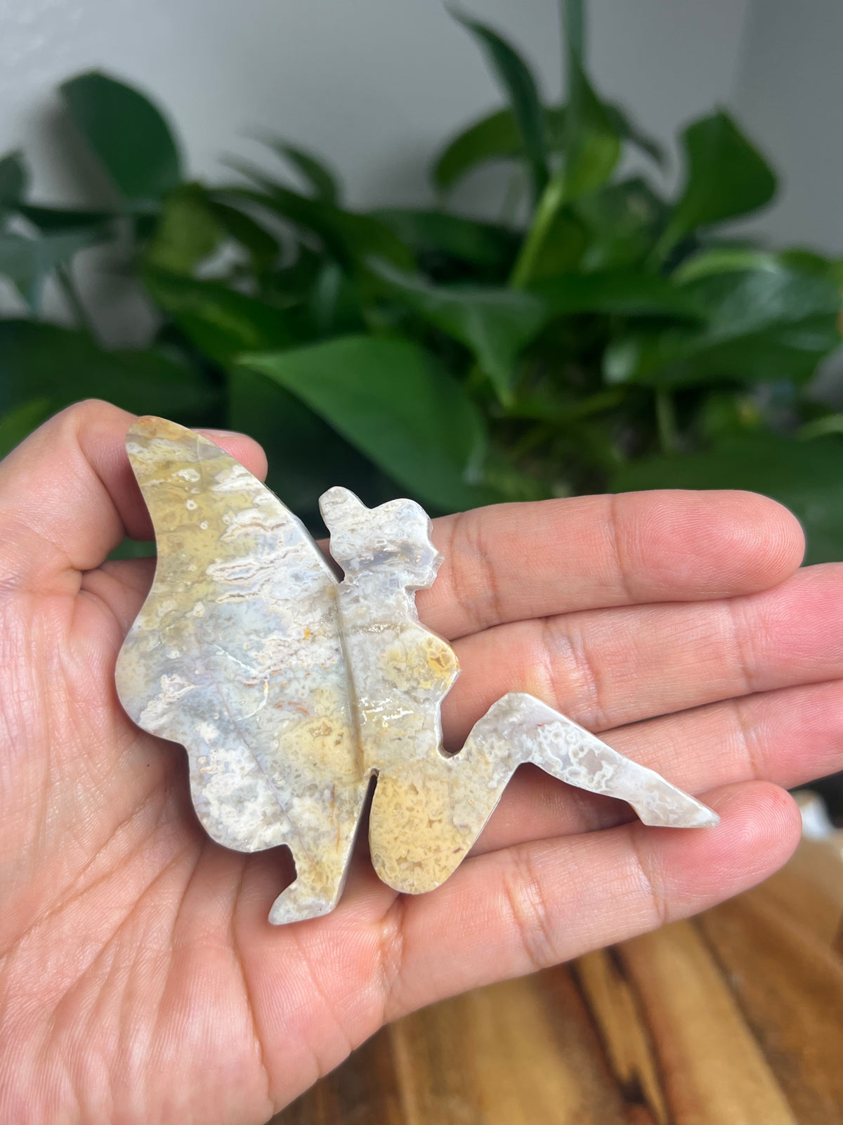 Sumatra Plume Agate Pixie Fairy: E