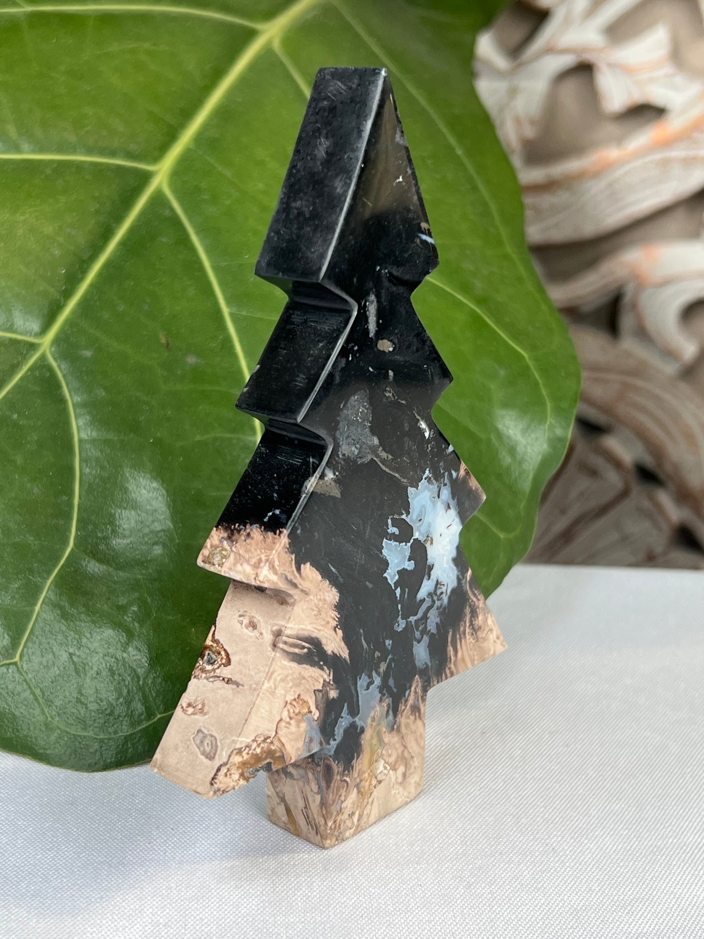 Palm Root Tree