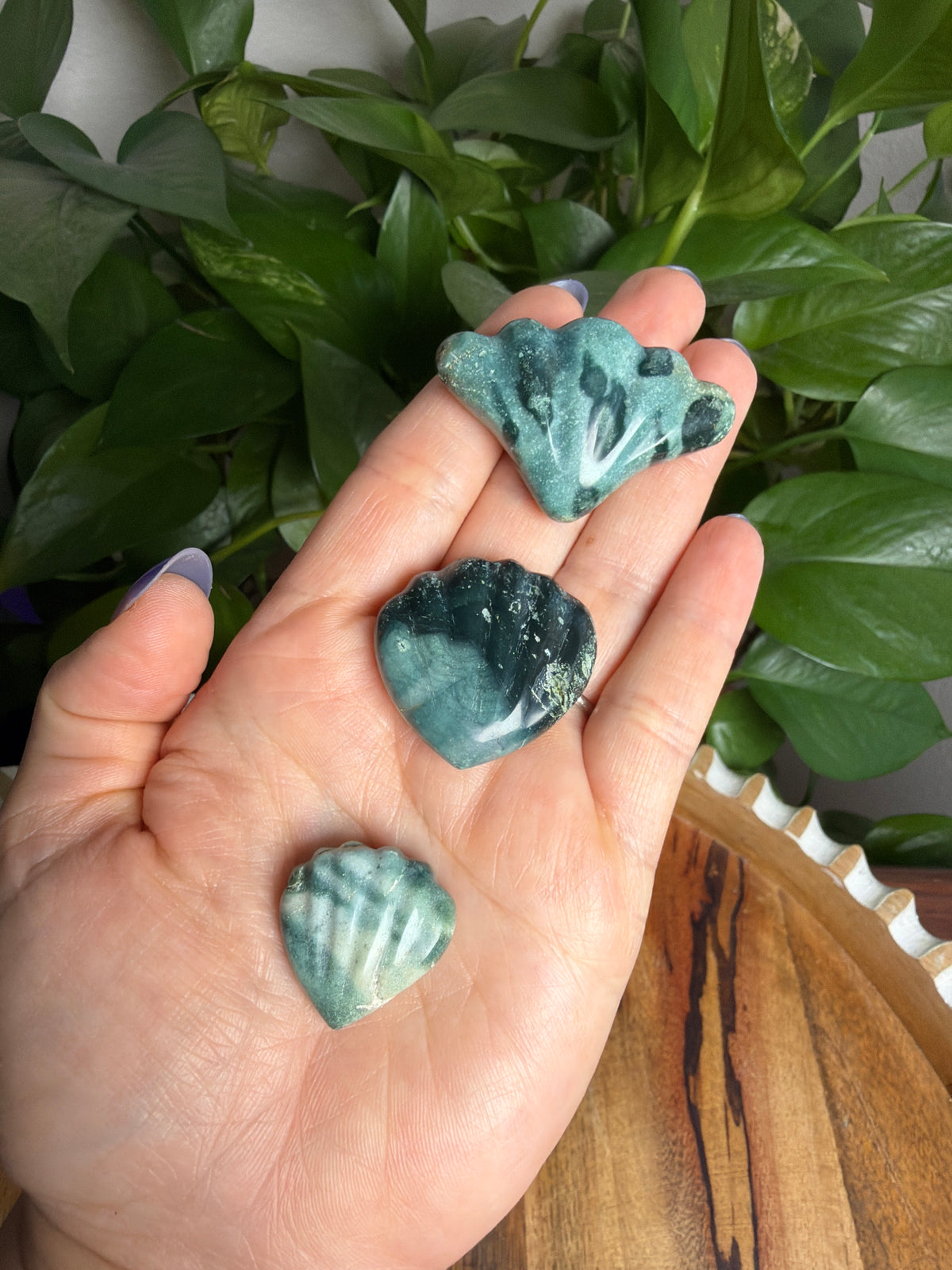 Blue Green Jasper Shells