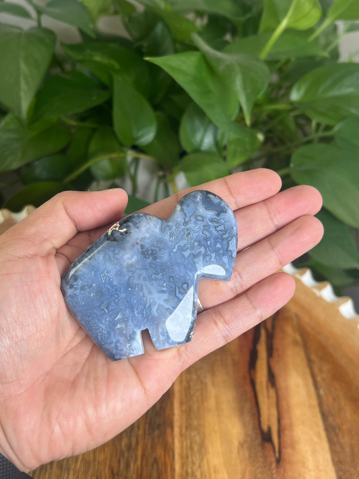 Blue Plume Agate Buffalo: PB