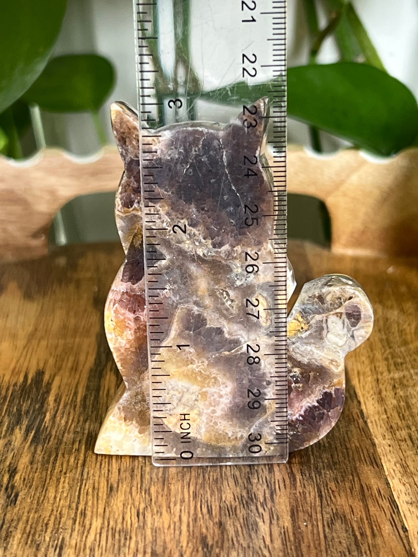 Indonesian Amethyst Cat CK