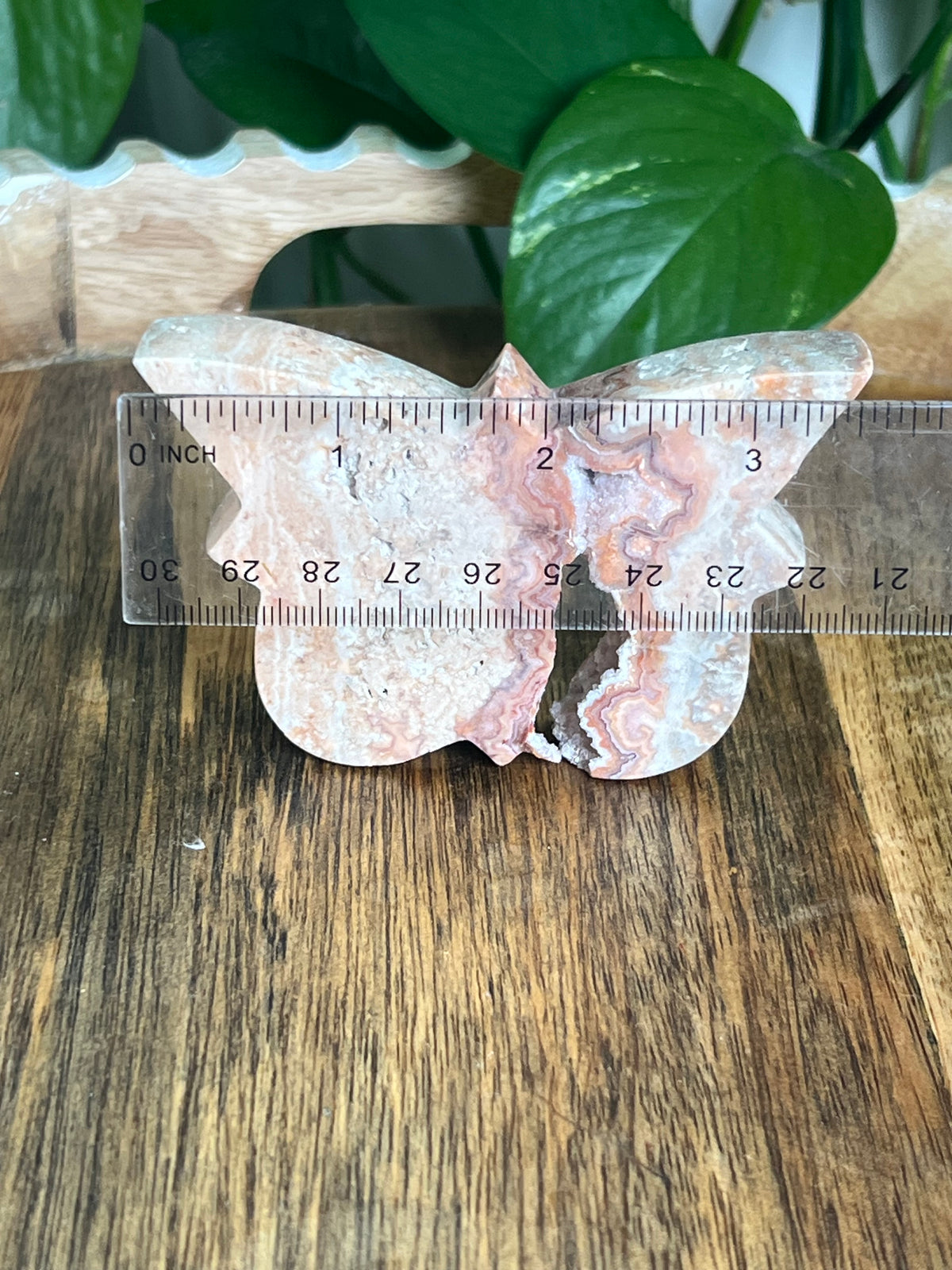 Crazy Lace Agate Butterfly: B