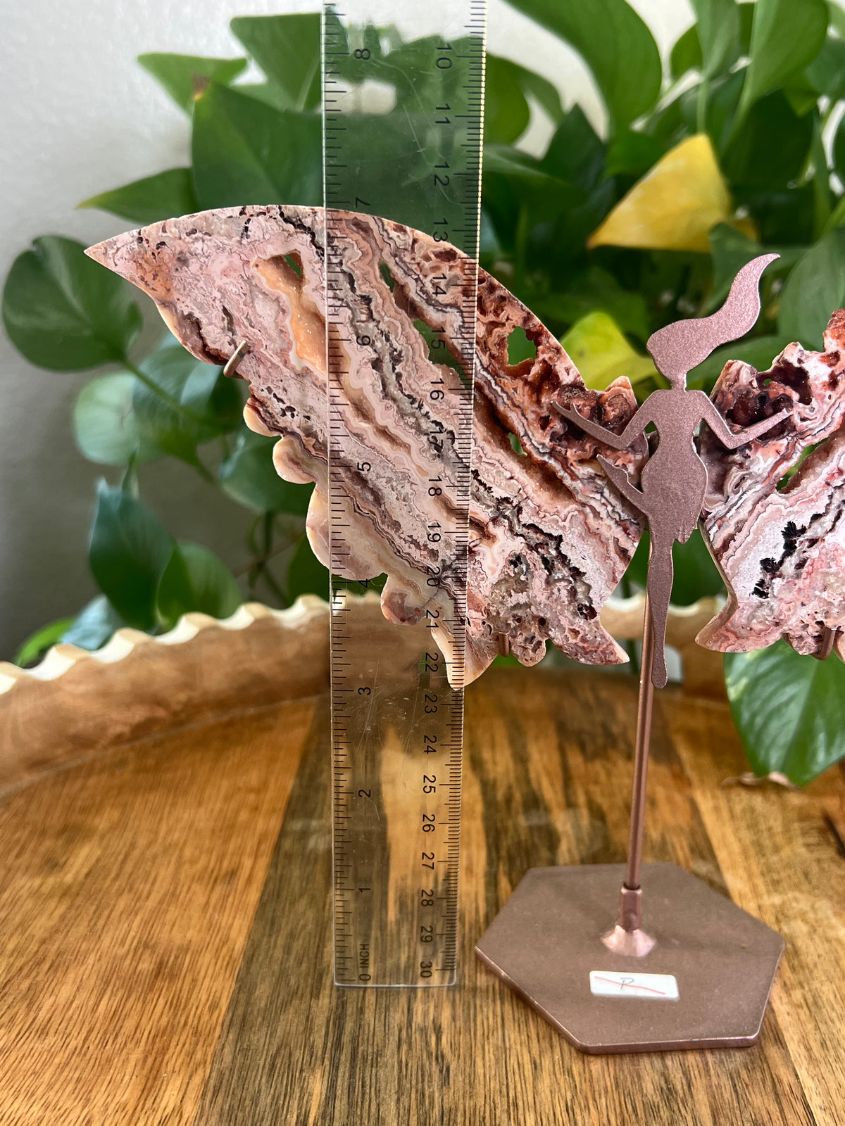 Crazy Lace Agate Wings P