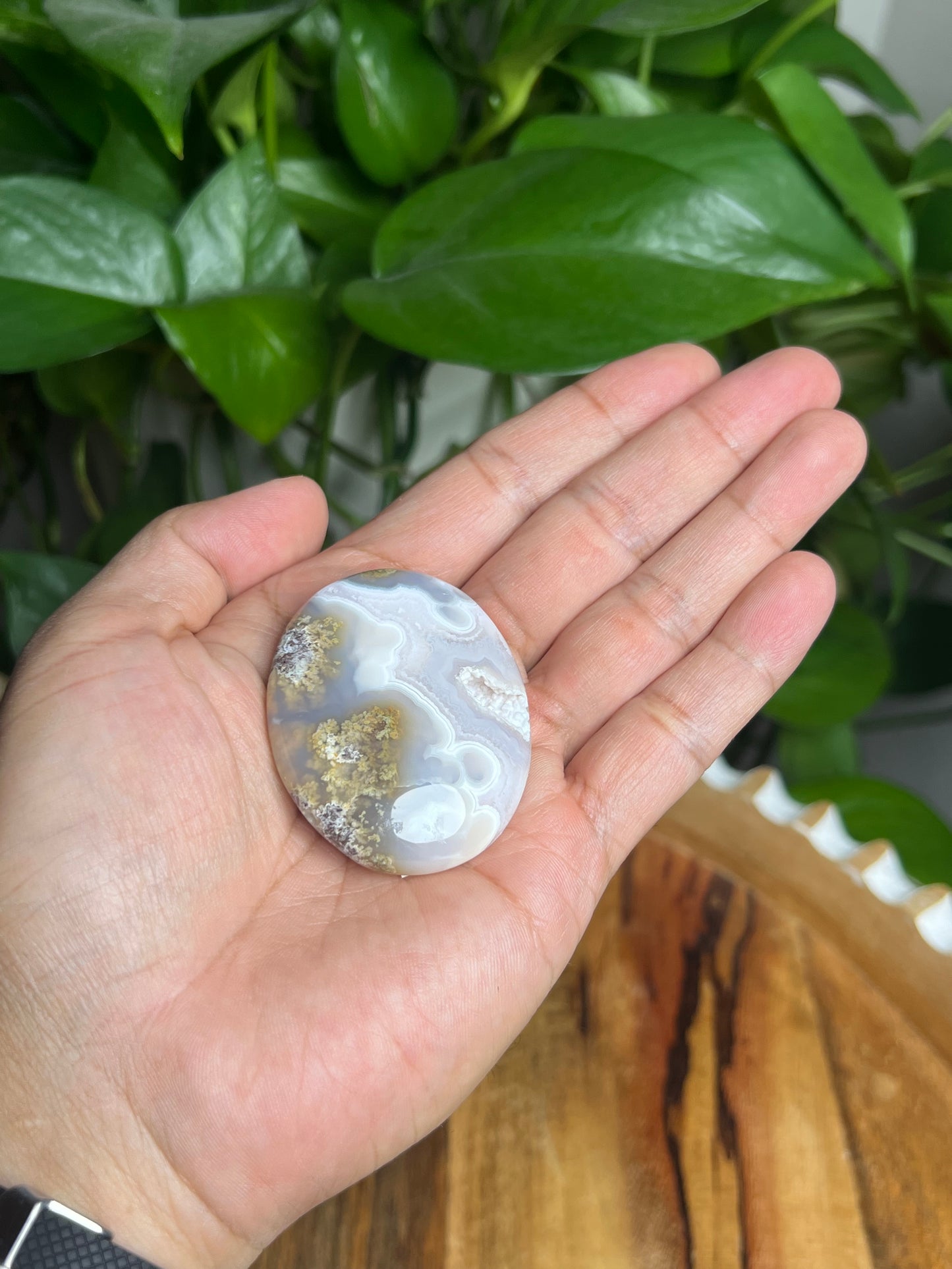 Scenic Moss Agate Palmstone: BL