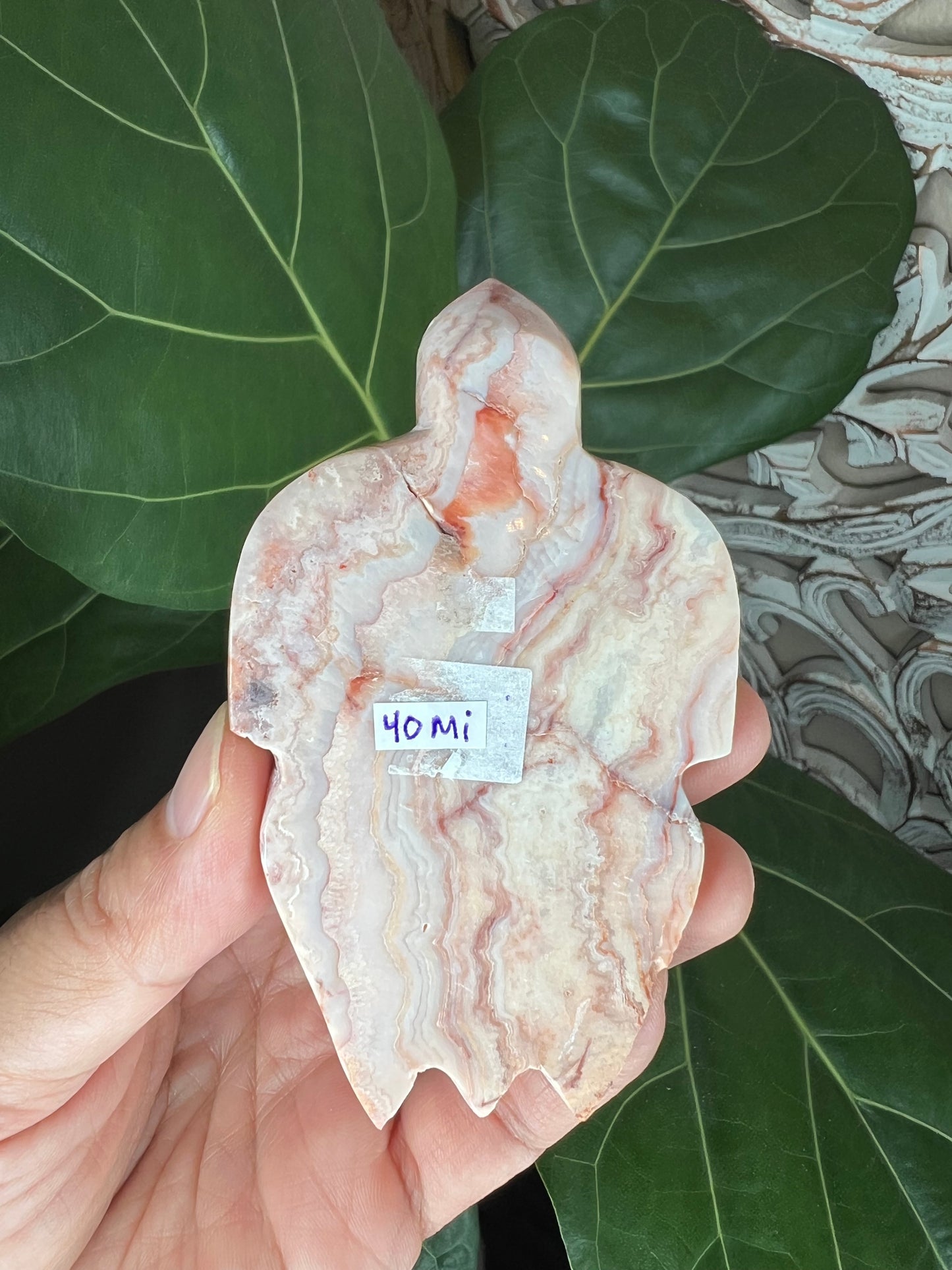 Crazy Lace Agate Turtle