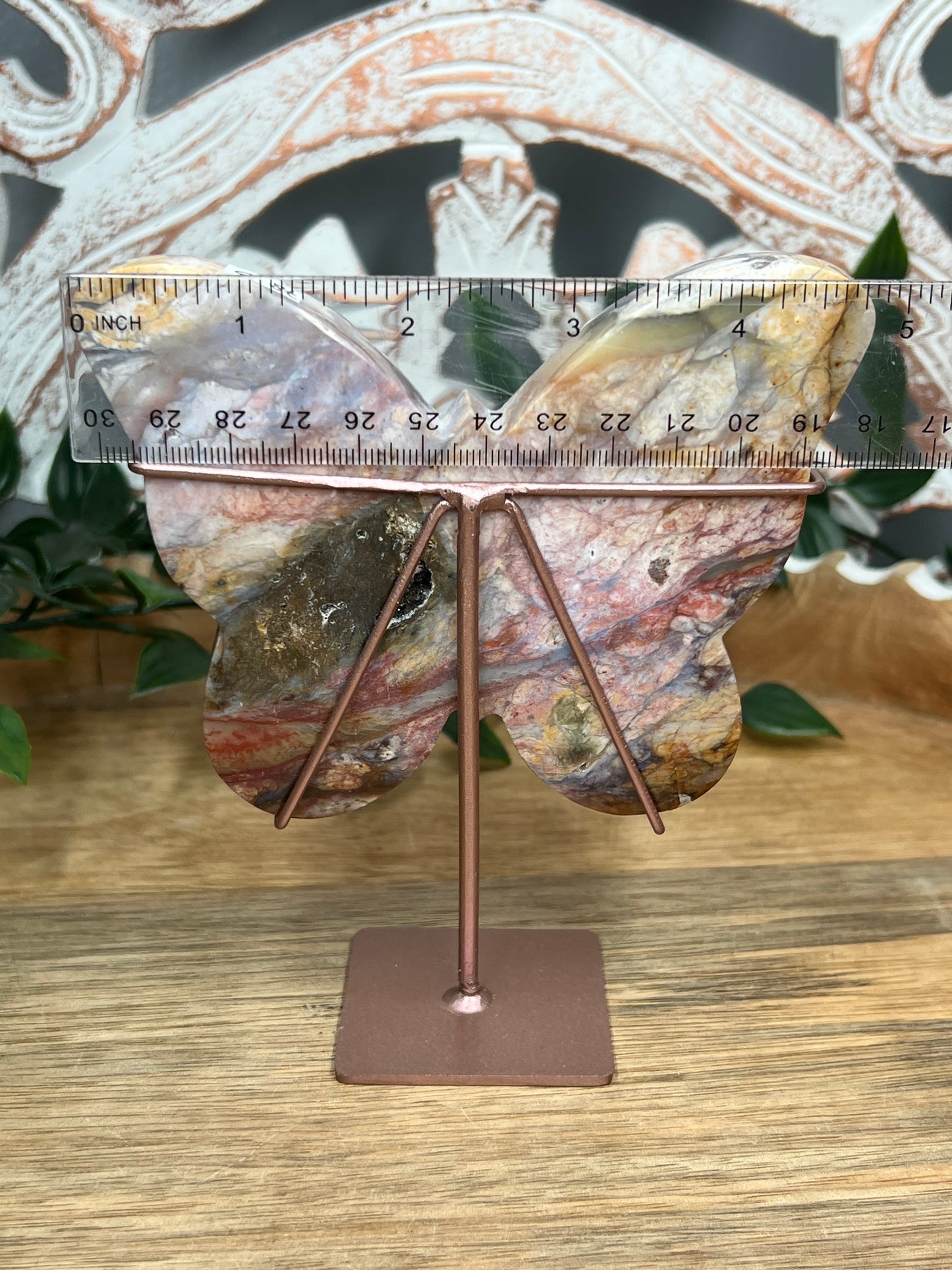 River Jasper Butterfly