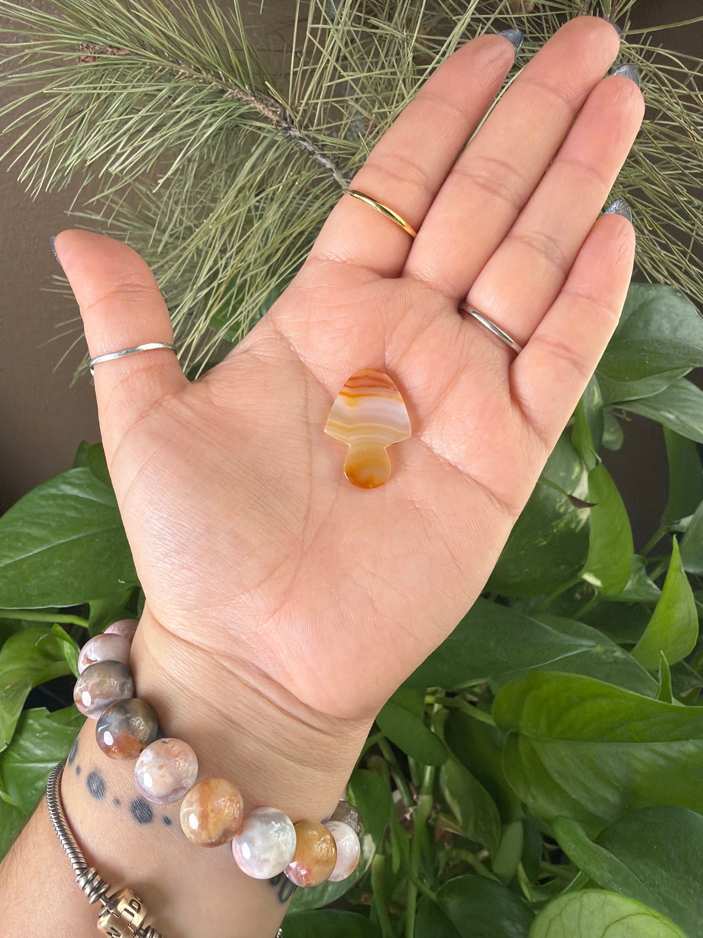 Iris Agate Mushroom Cabachon