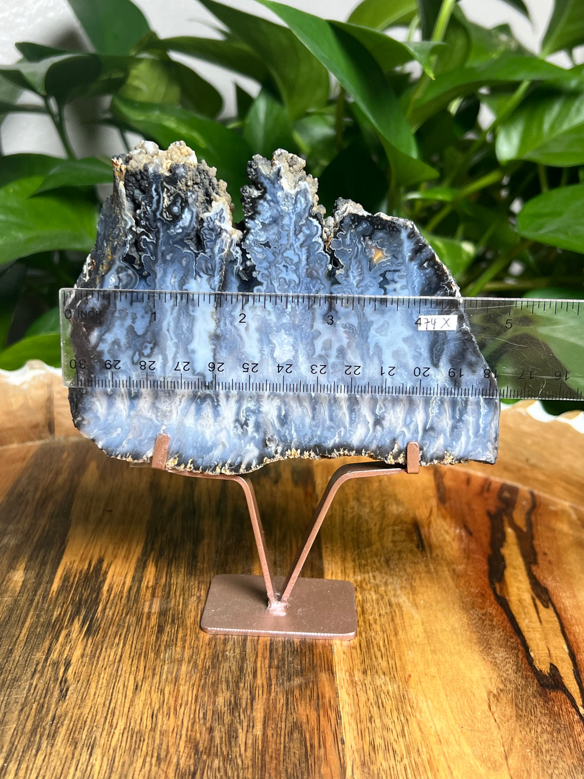 Blue Plume Agate Slab: X
