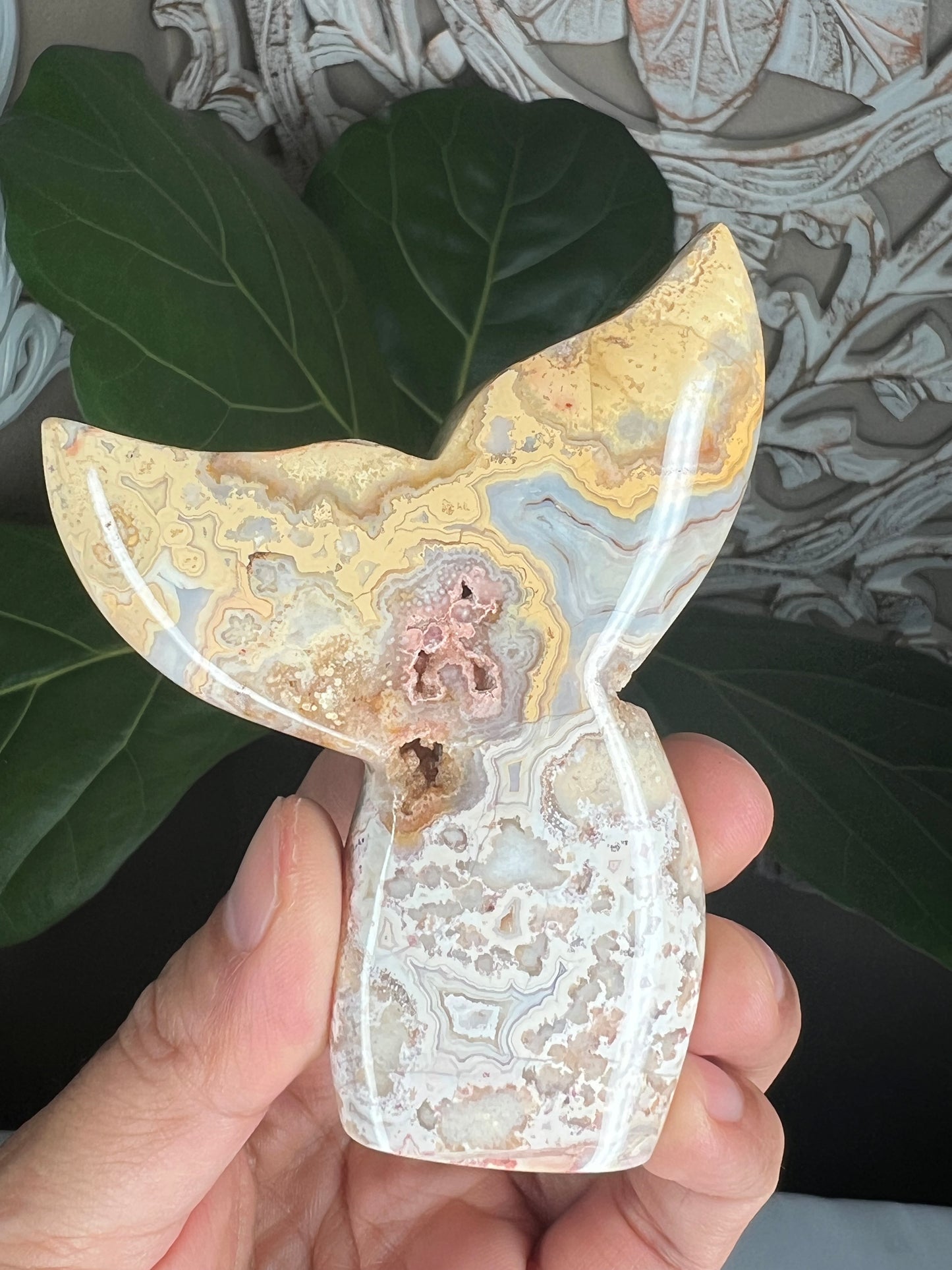 Crazy Lace Agate Tail