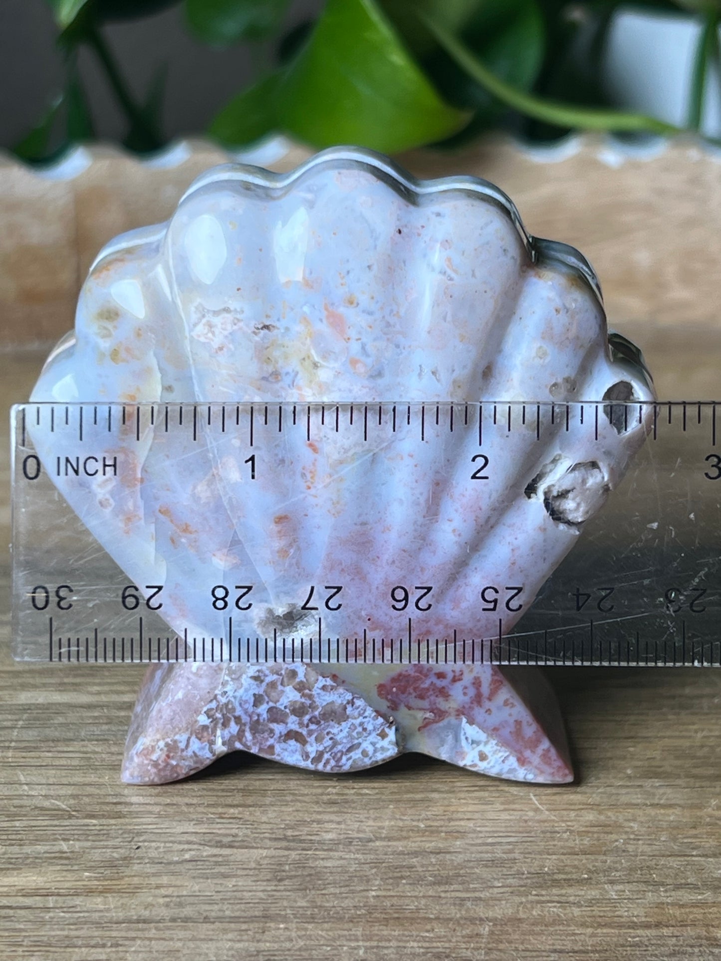 River Jasper Shell